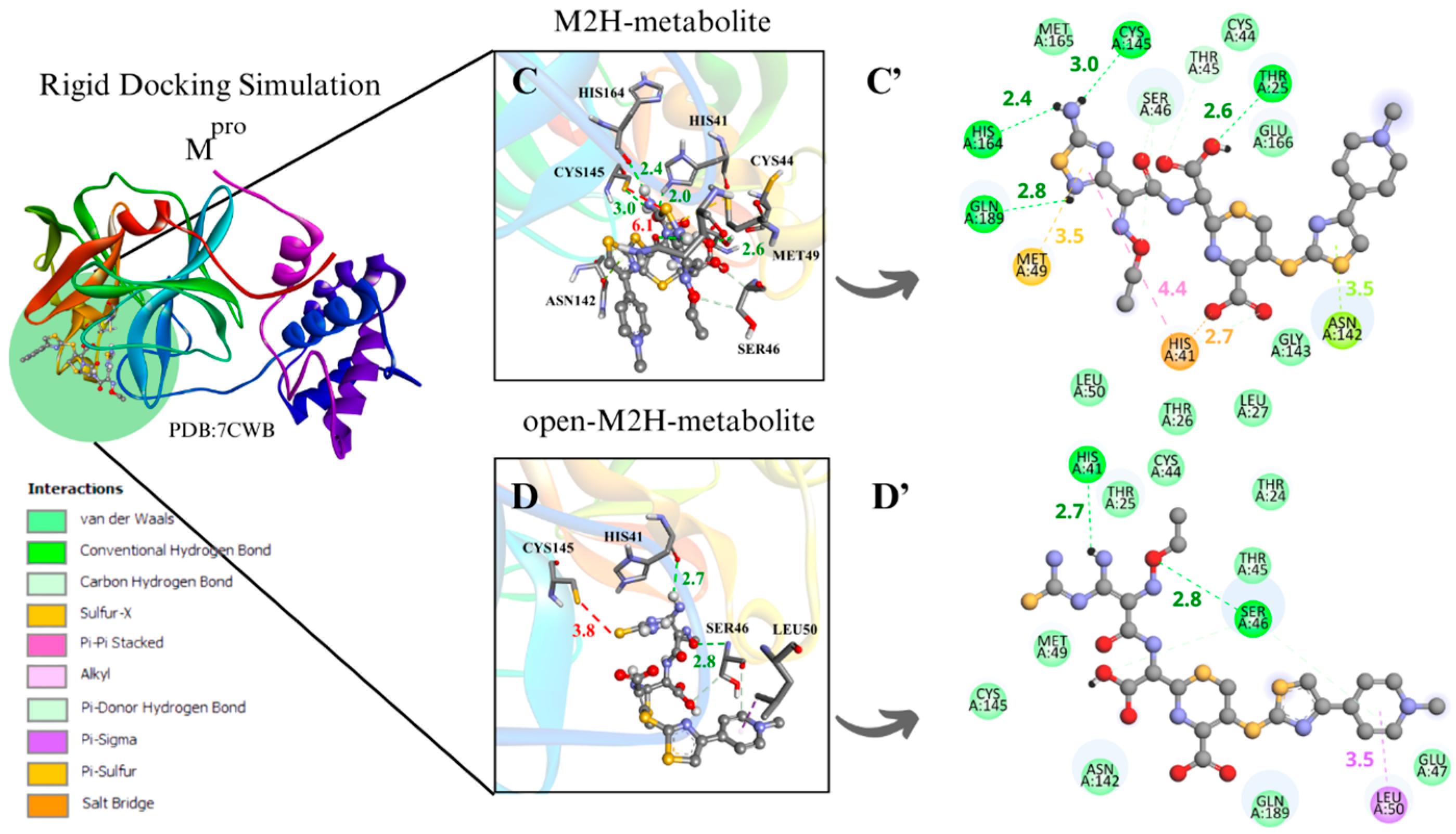Viruses 17 00491 g004b