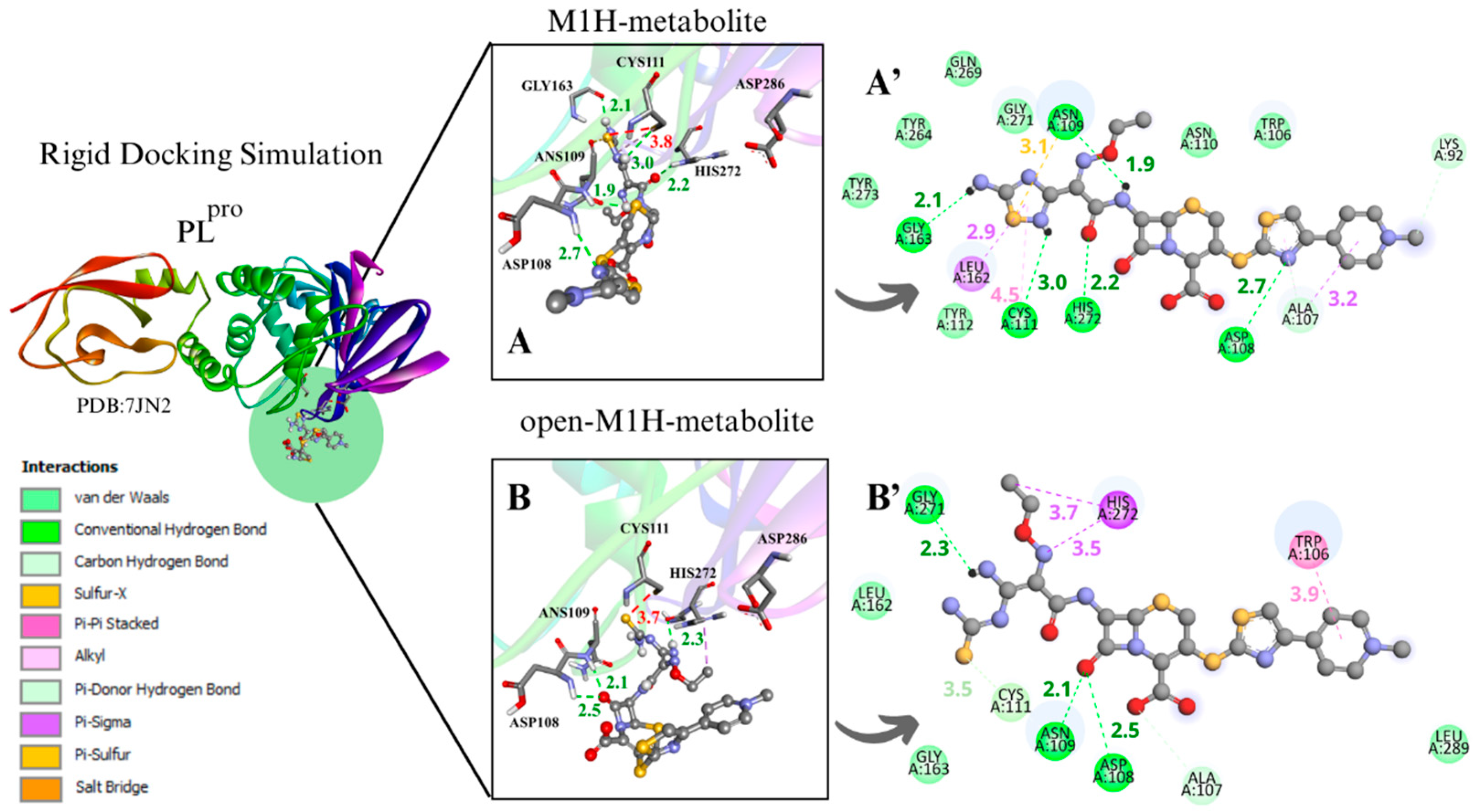 Viruses 17 00491 g005a