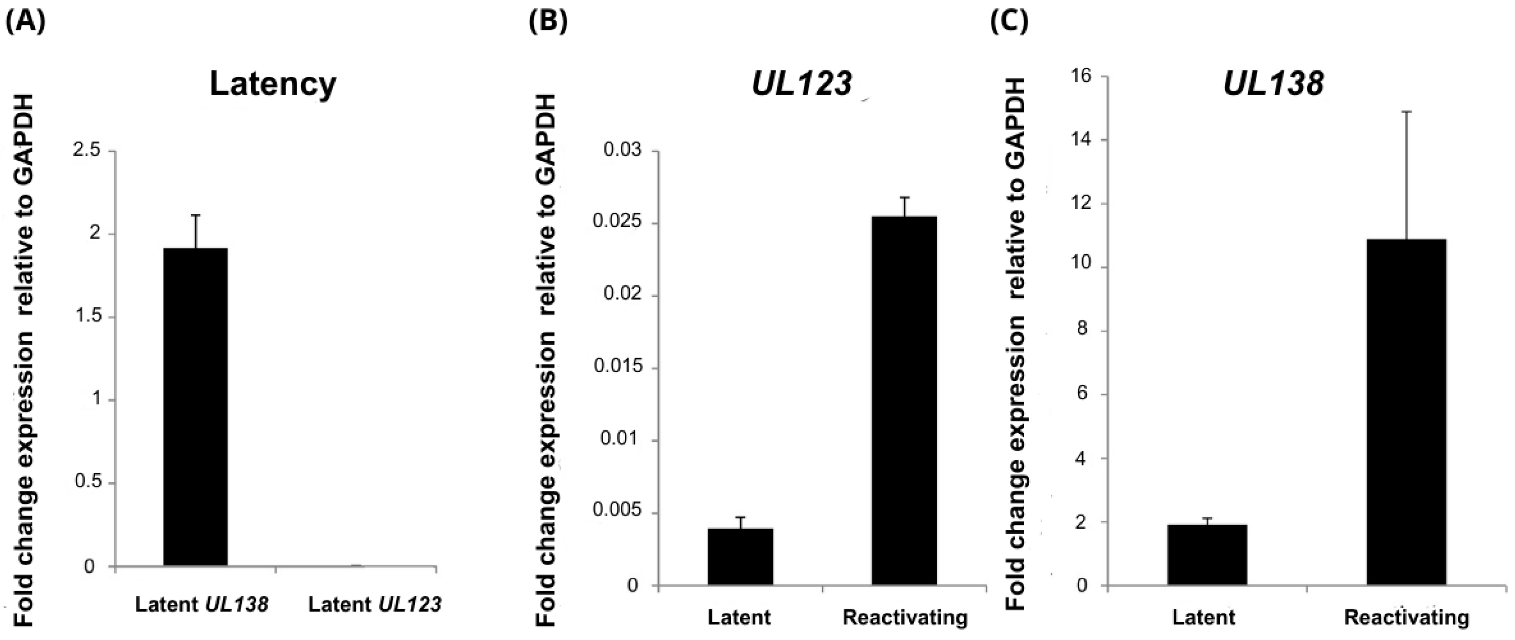Viruses 17 00501 g002