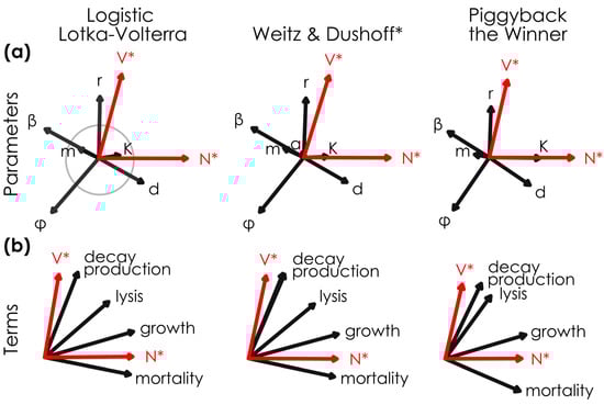 Viruses 17 00513 g001