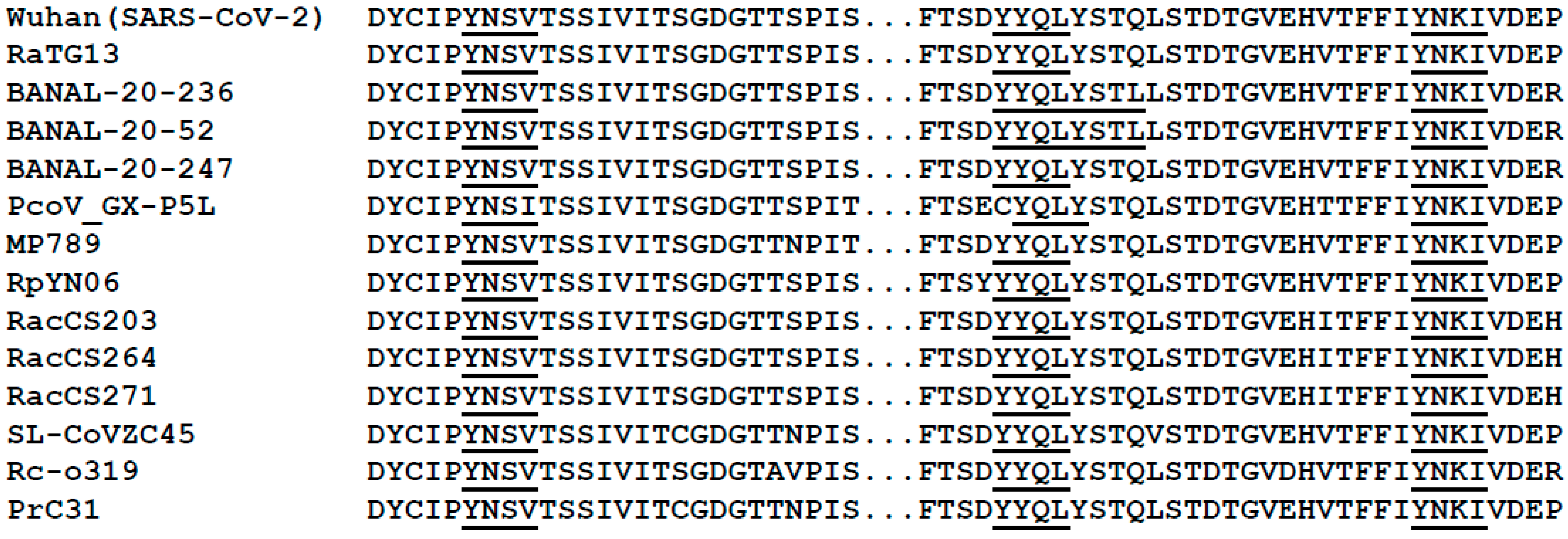 Viruses 17 00522 g001