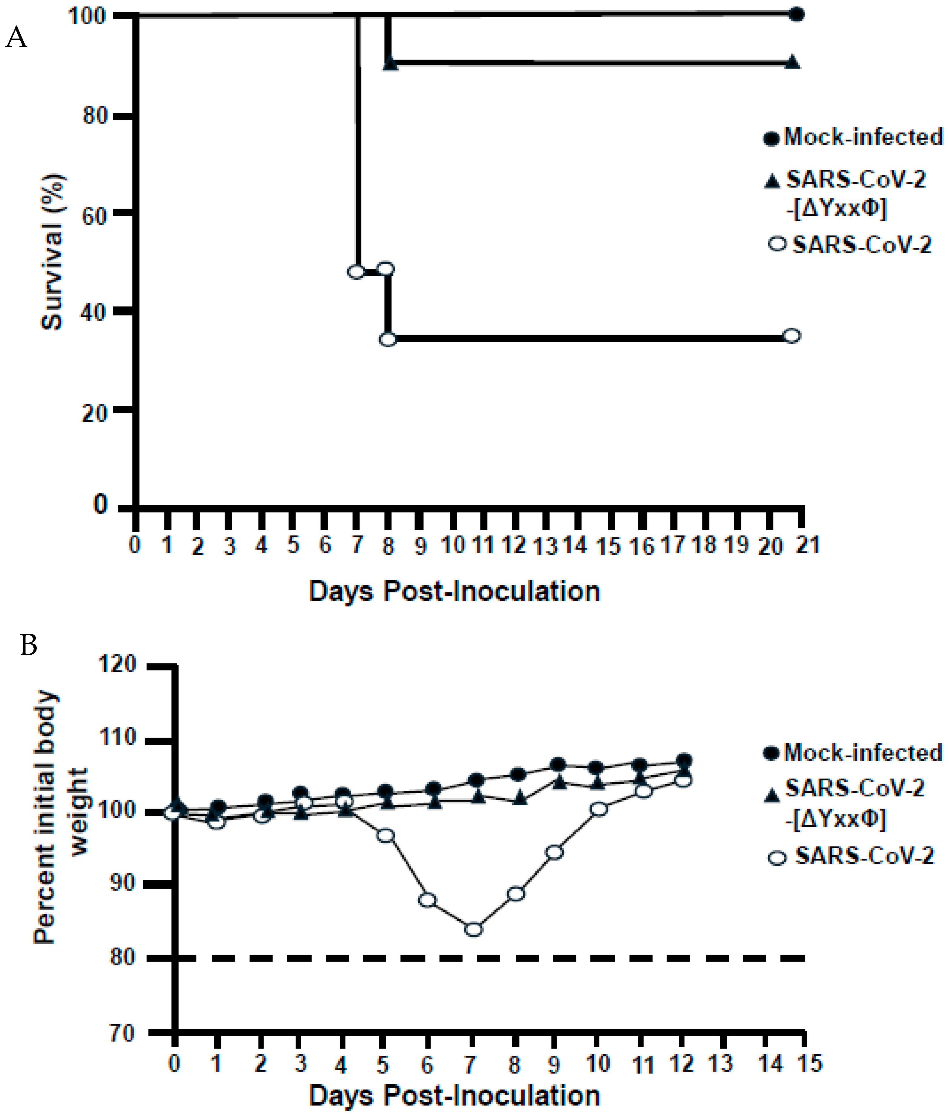 Viruses 17 00522 g014