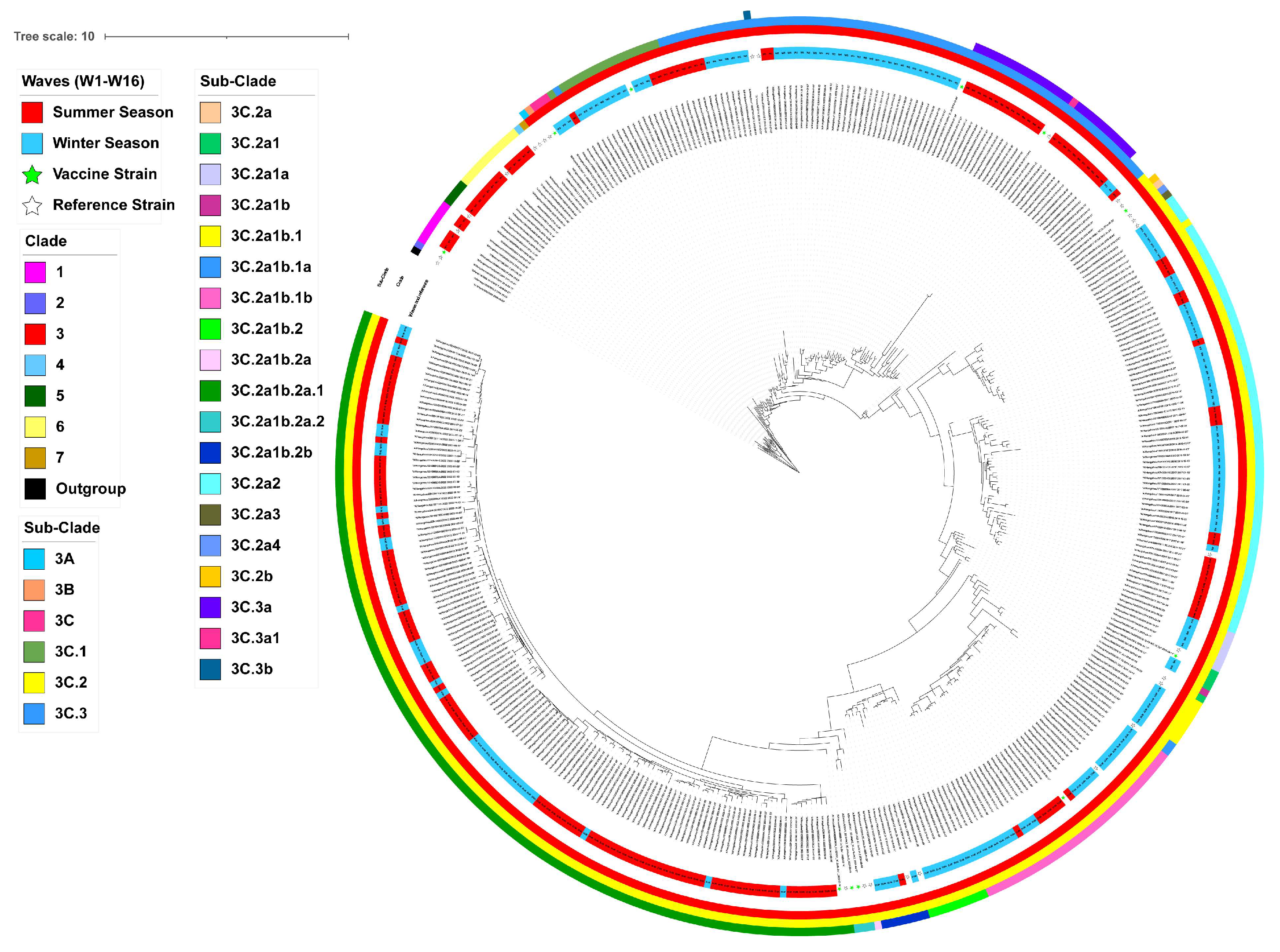 Viruses 17 00526 g002