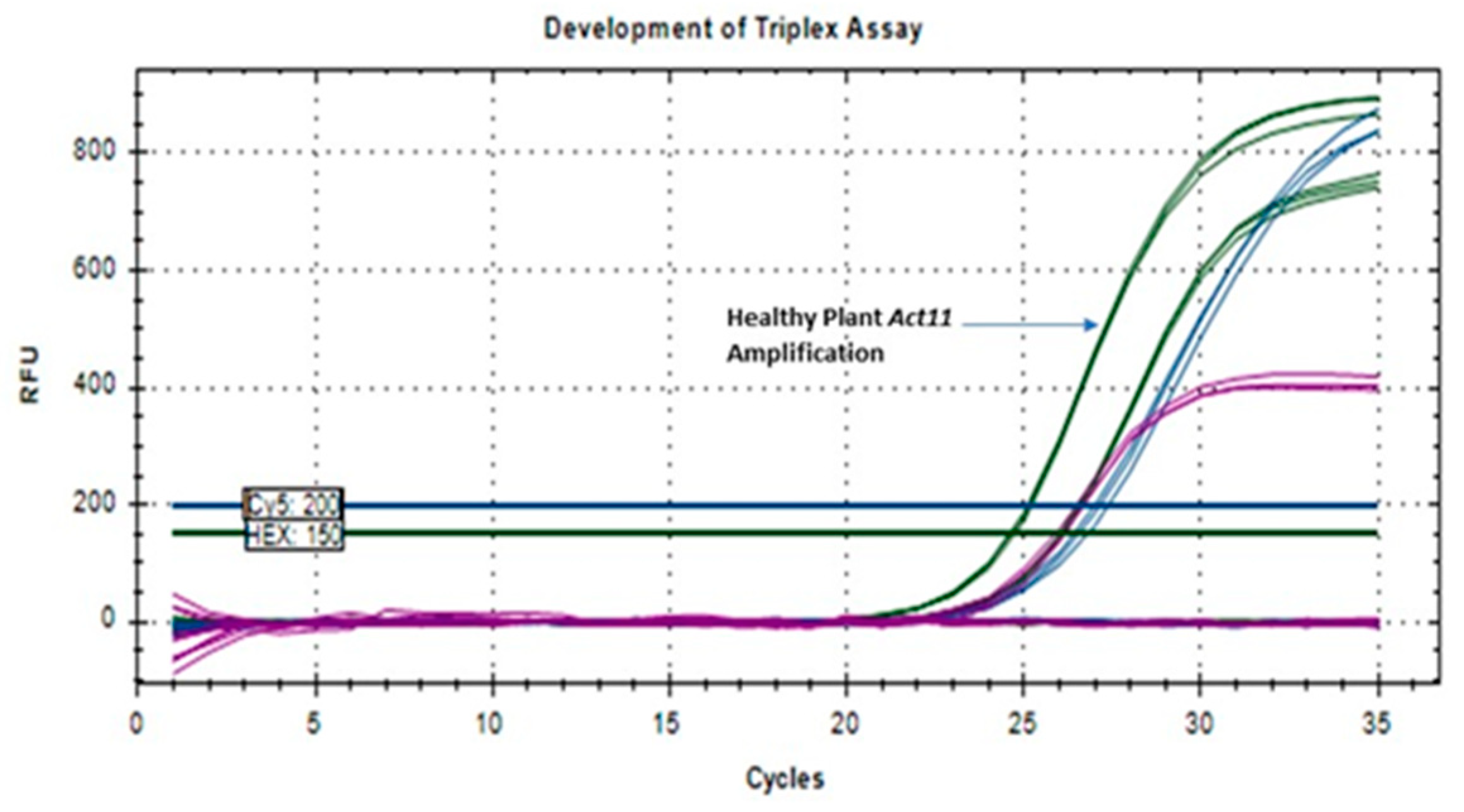 Viruses 17 00532 g003