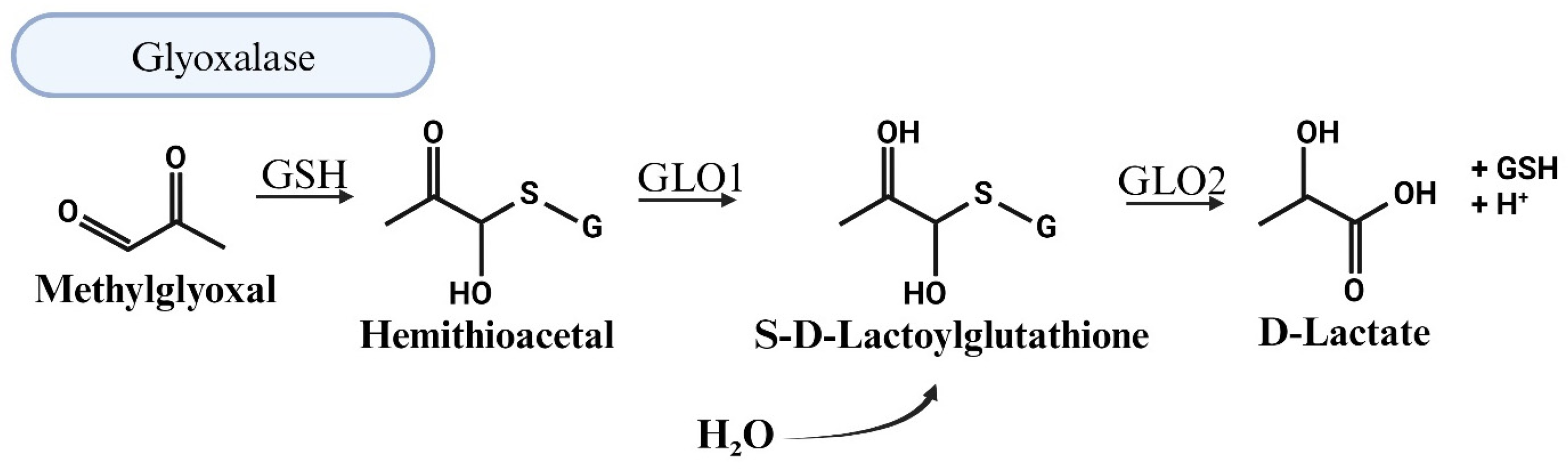 Viruses 17 00547 g004