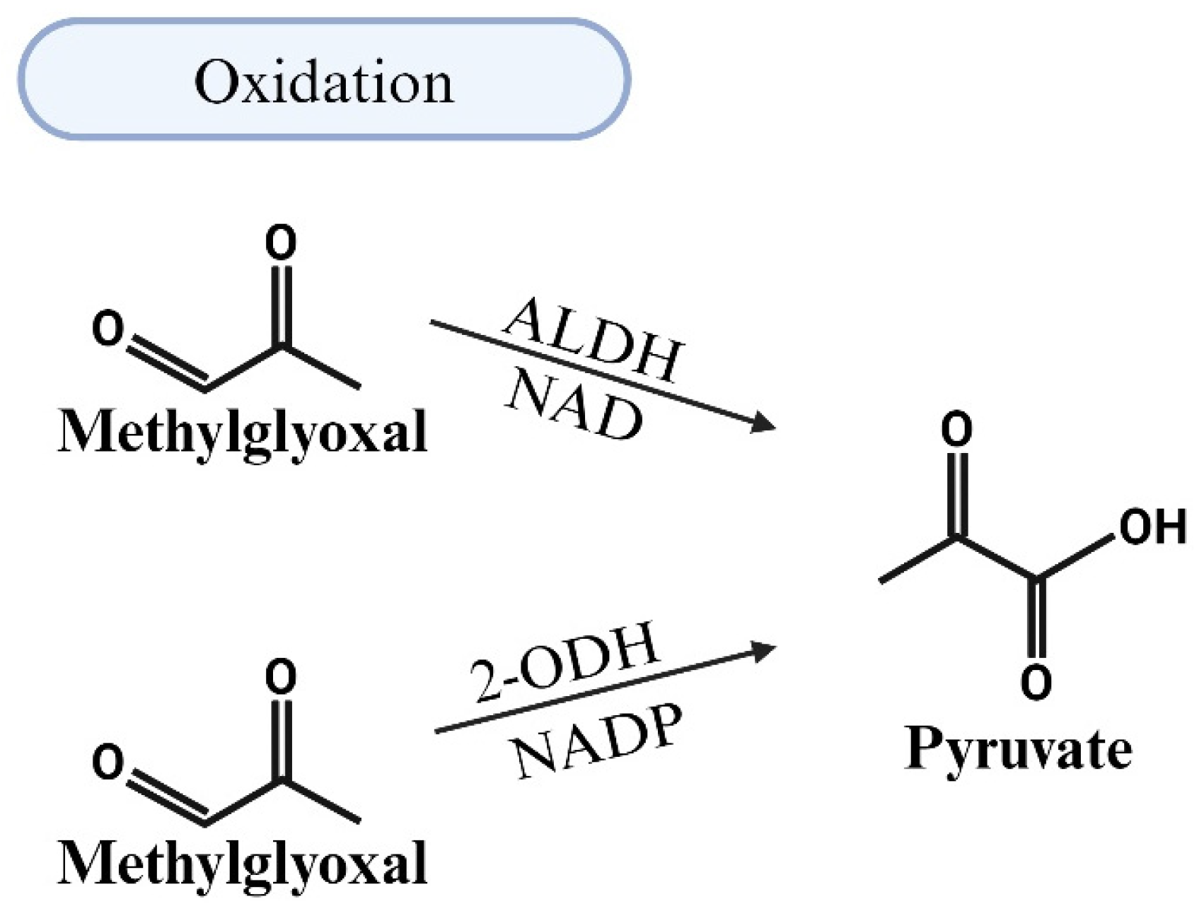 Viruses 17 00547 g005