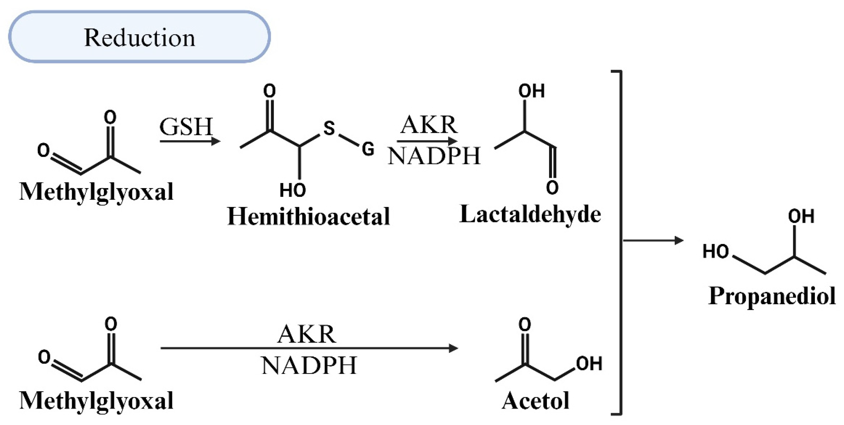 Viruses 17 00547 g006