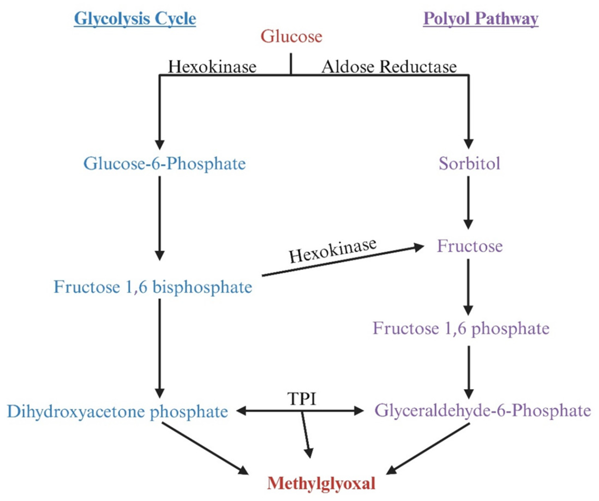 Viruses 17 00547 g007
