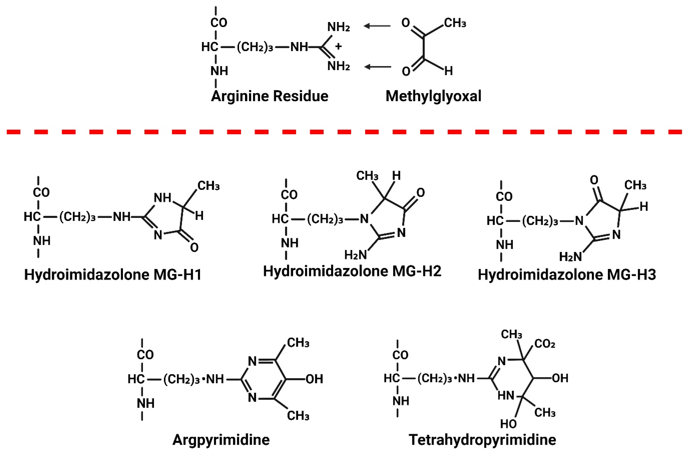 Viruses 17 00547 g008