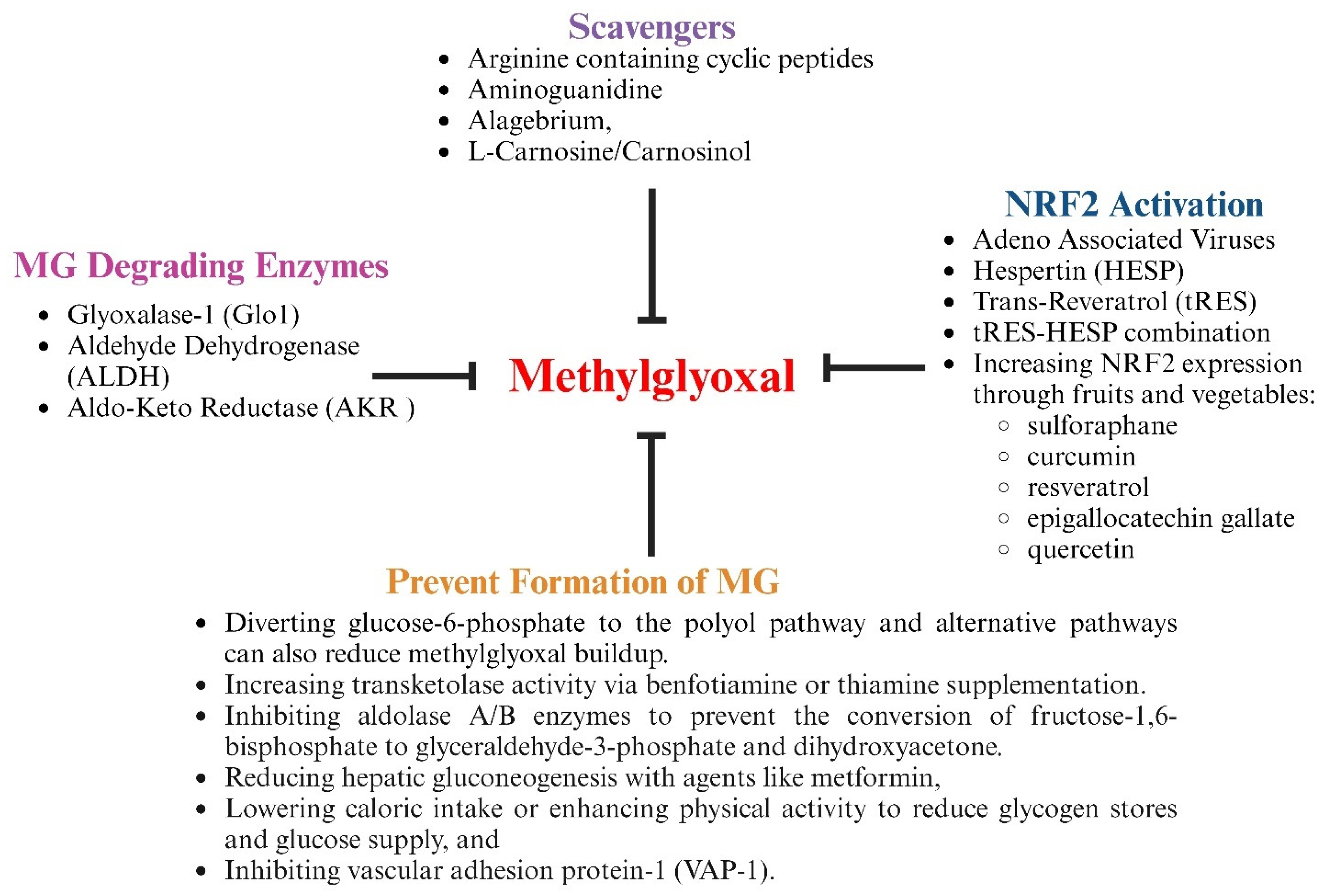 Viruses 17 00547 g009