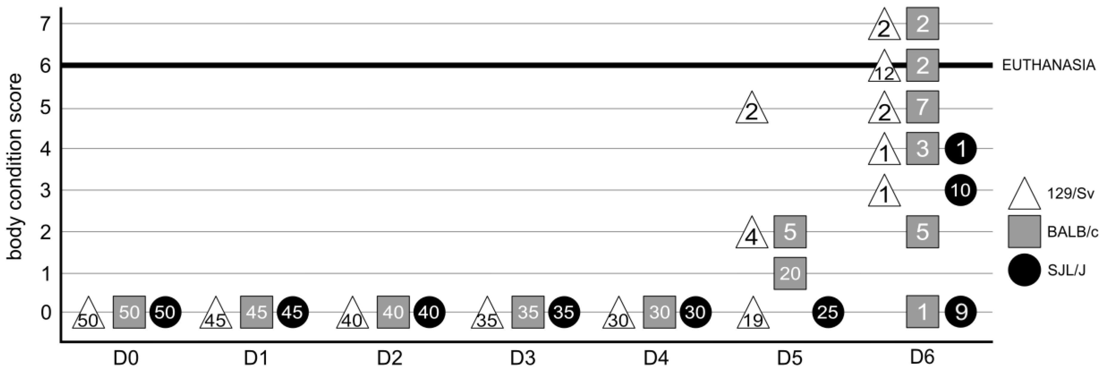 Viruses 17 00548 g001