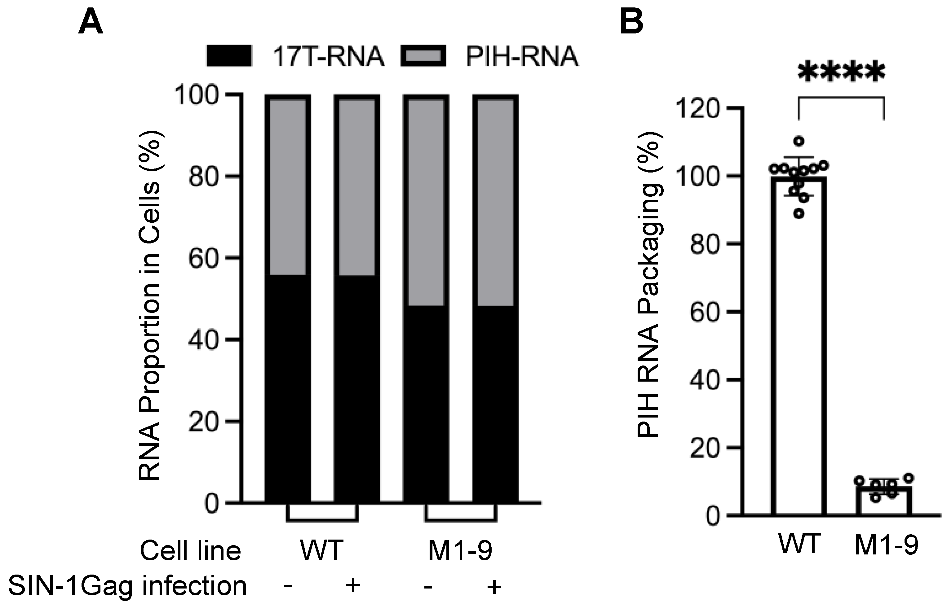 Viruses 17 00551 g002