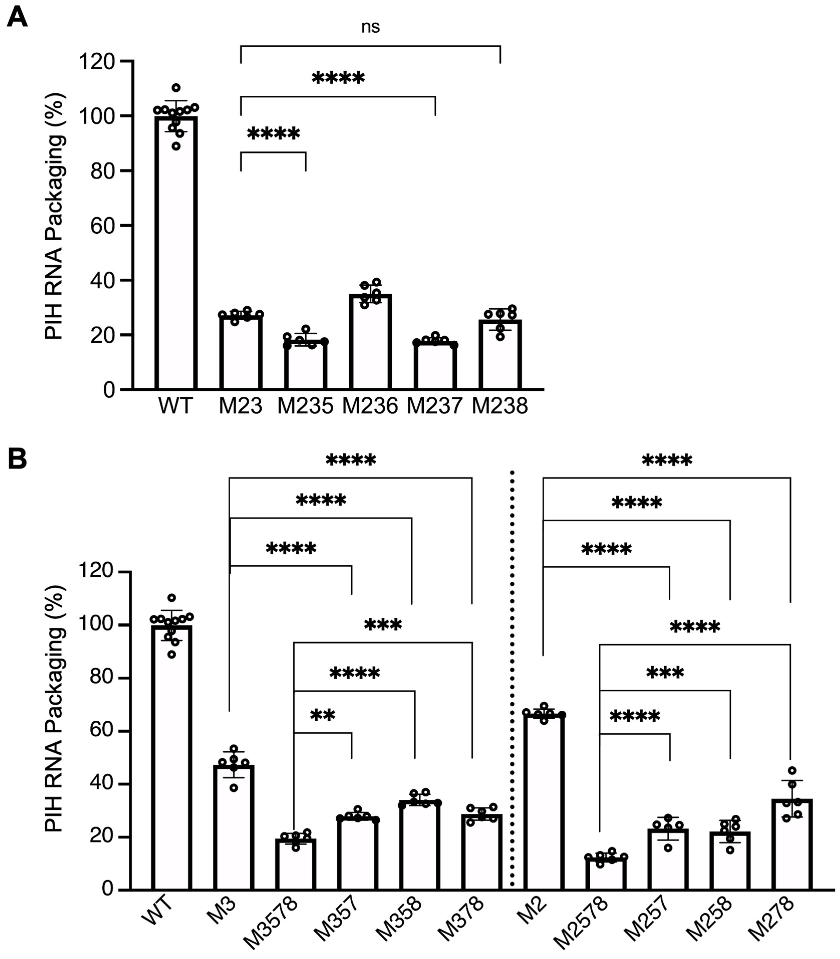 Viruses 17 00551 g005