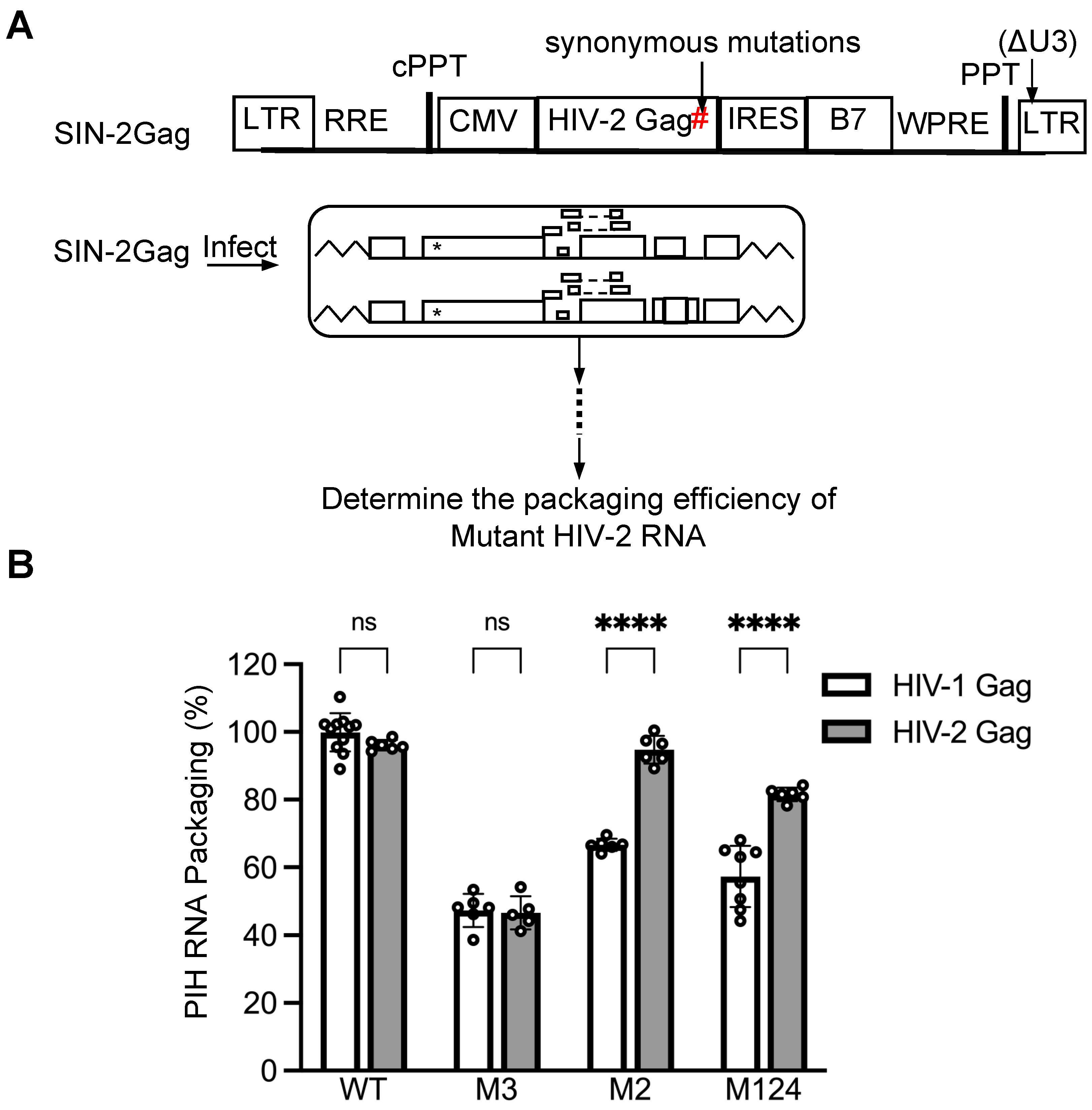 Viruses 17 00551 g006