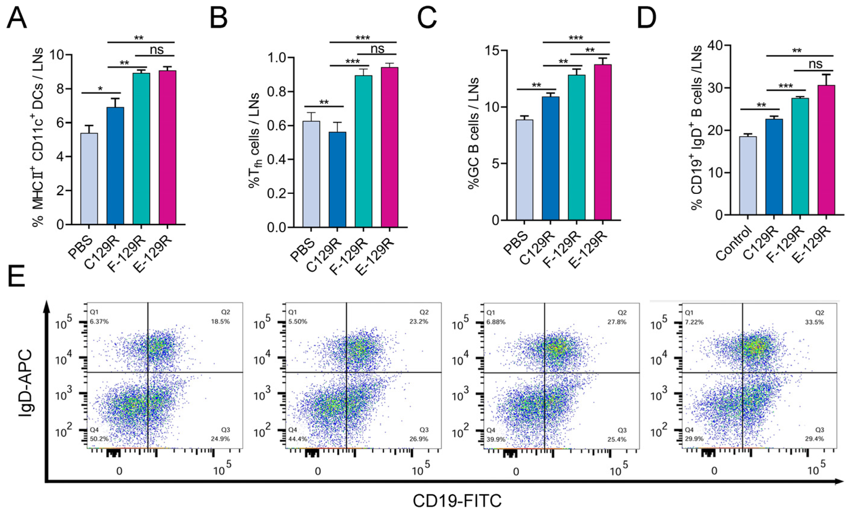 Viruses 17 00556 g005
