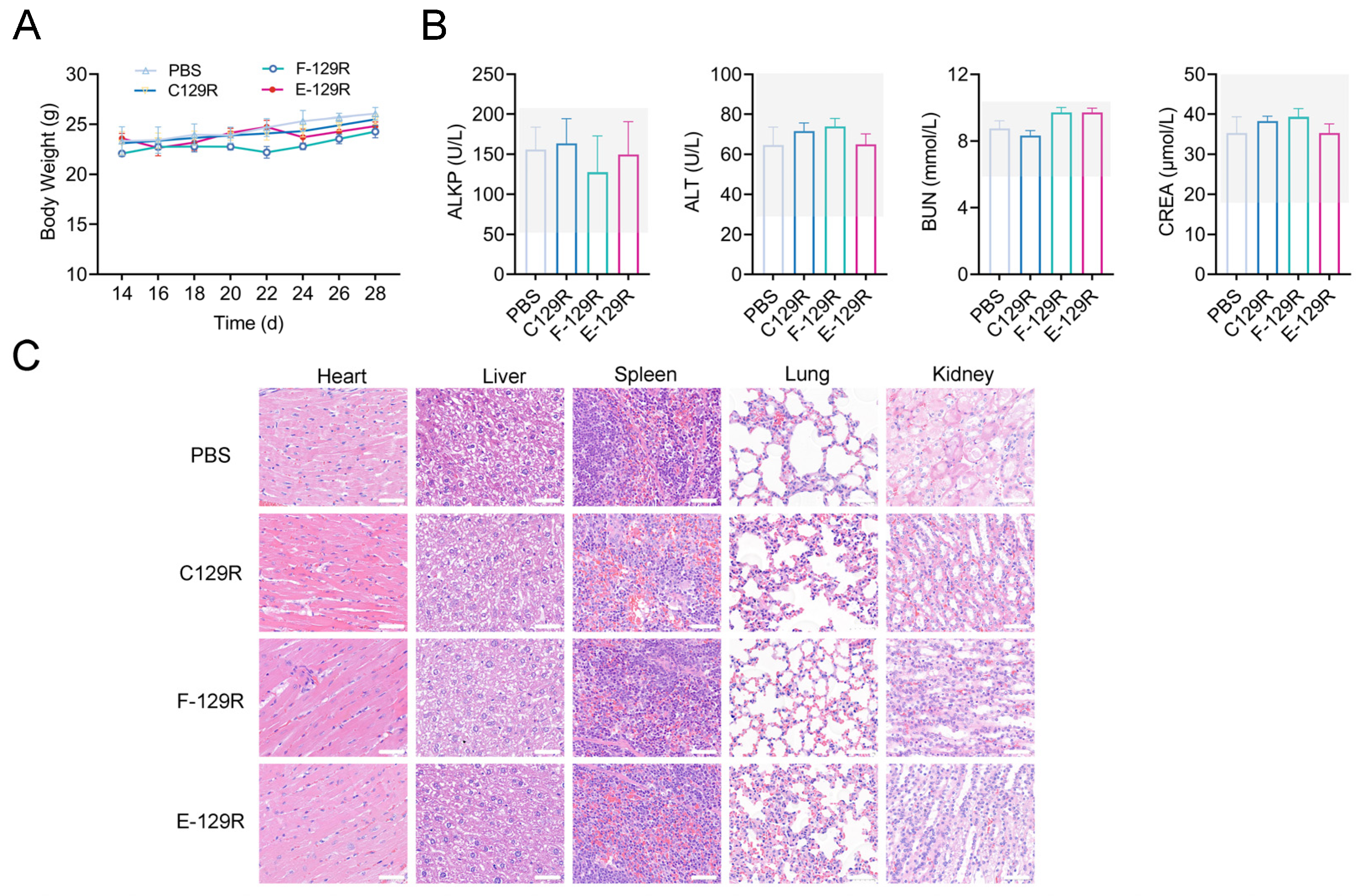 Viruses 17 00556 g006