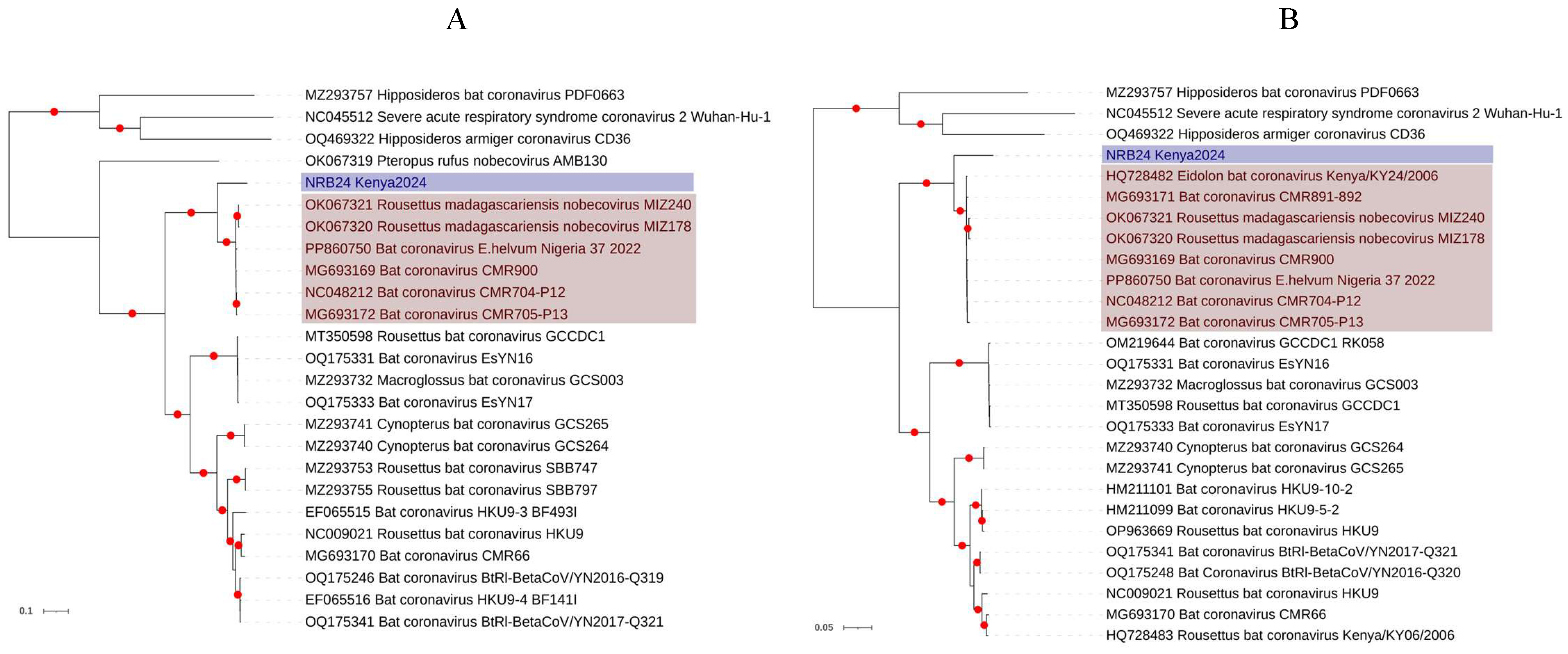 Viruses 17 00557 g002 Viruses 17 00557 g002