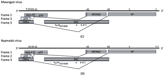 Viruses 17 00561 g002b