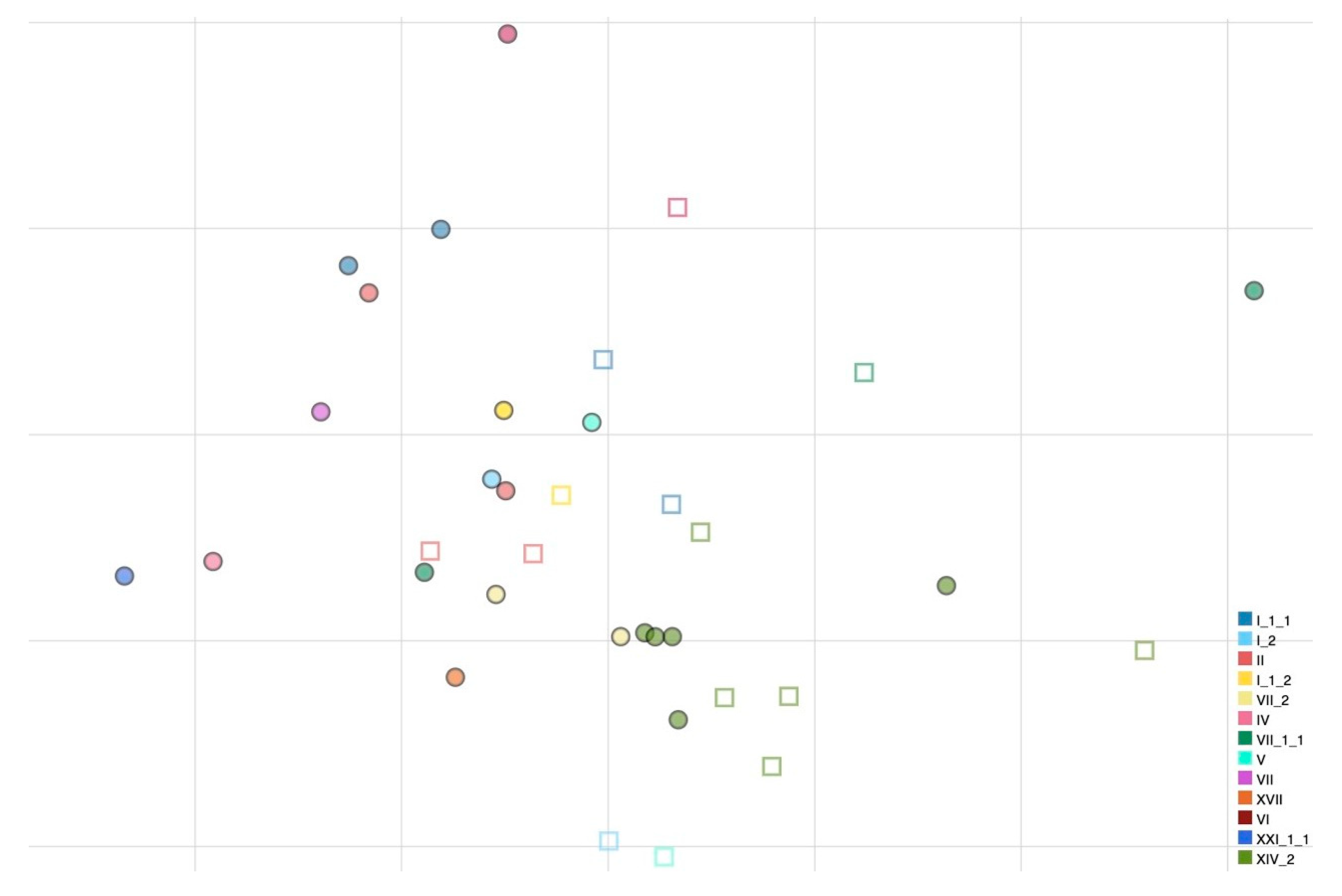 Viruses 17 00567 g001