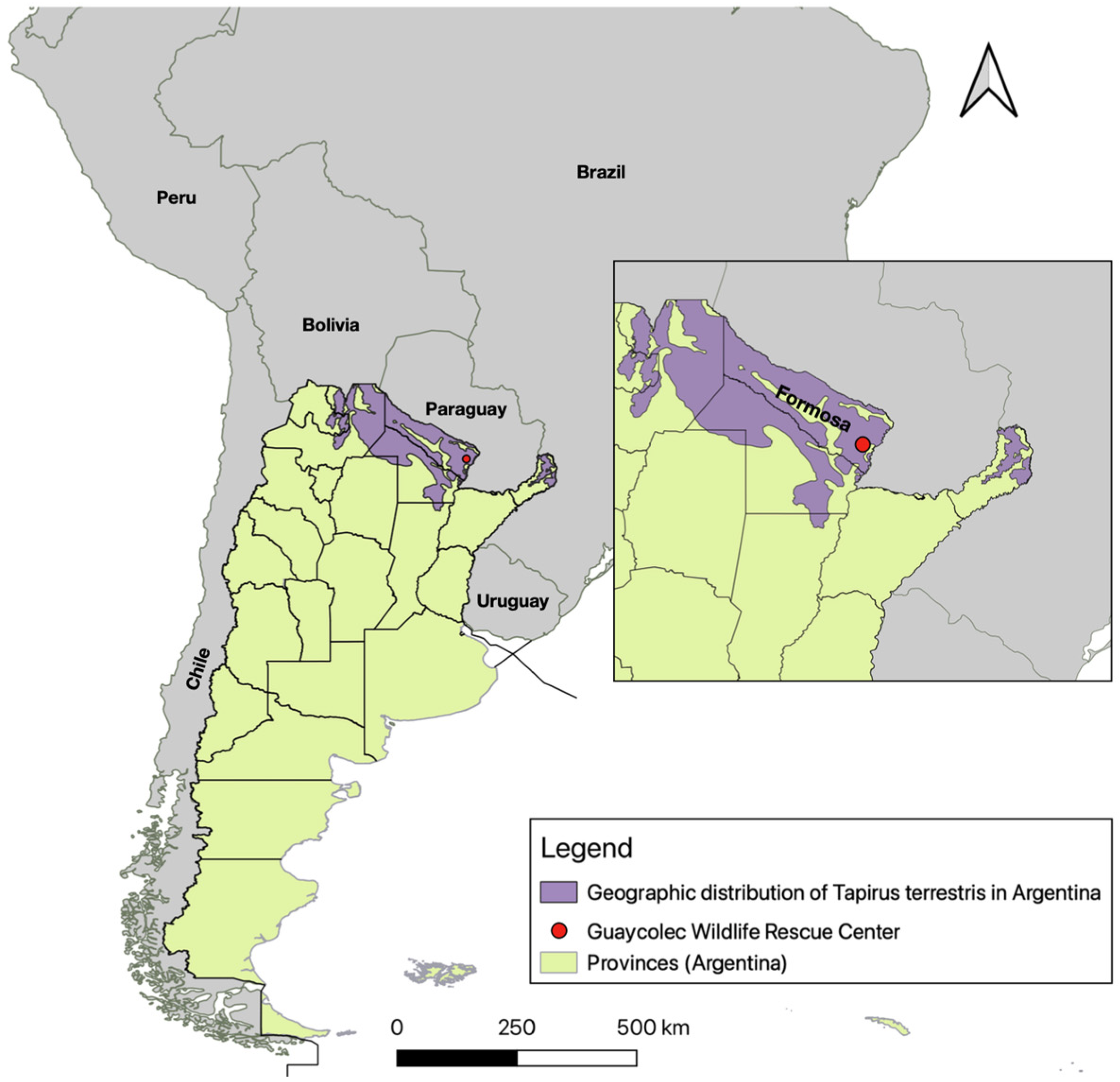 Viruses 17 00570 g001