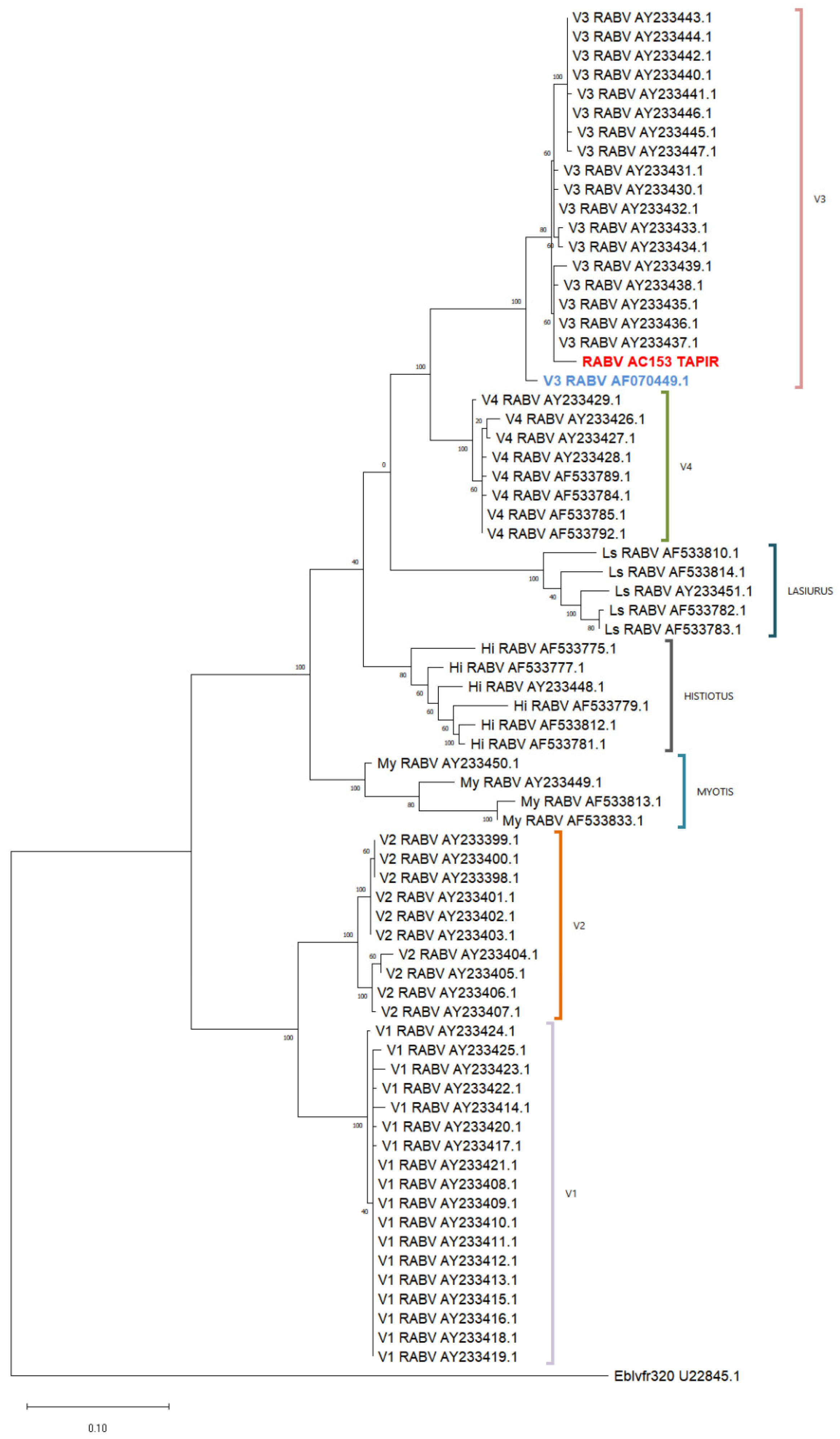 Viruses 17 00570 g004