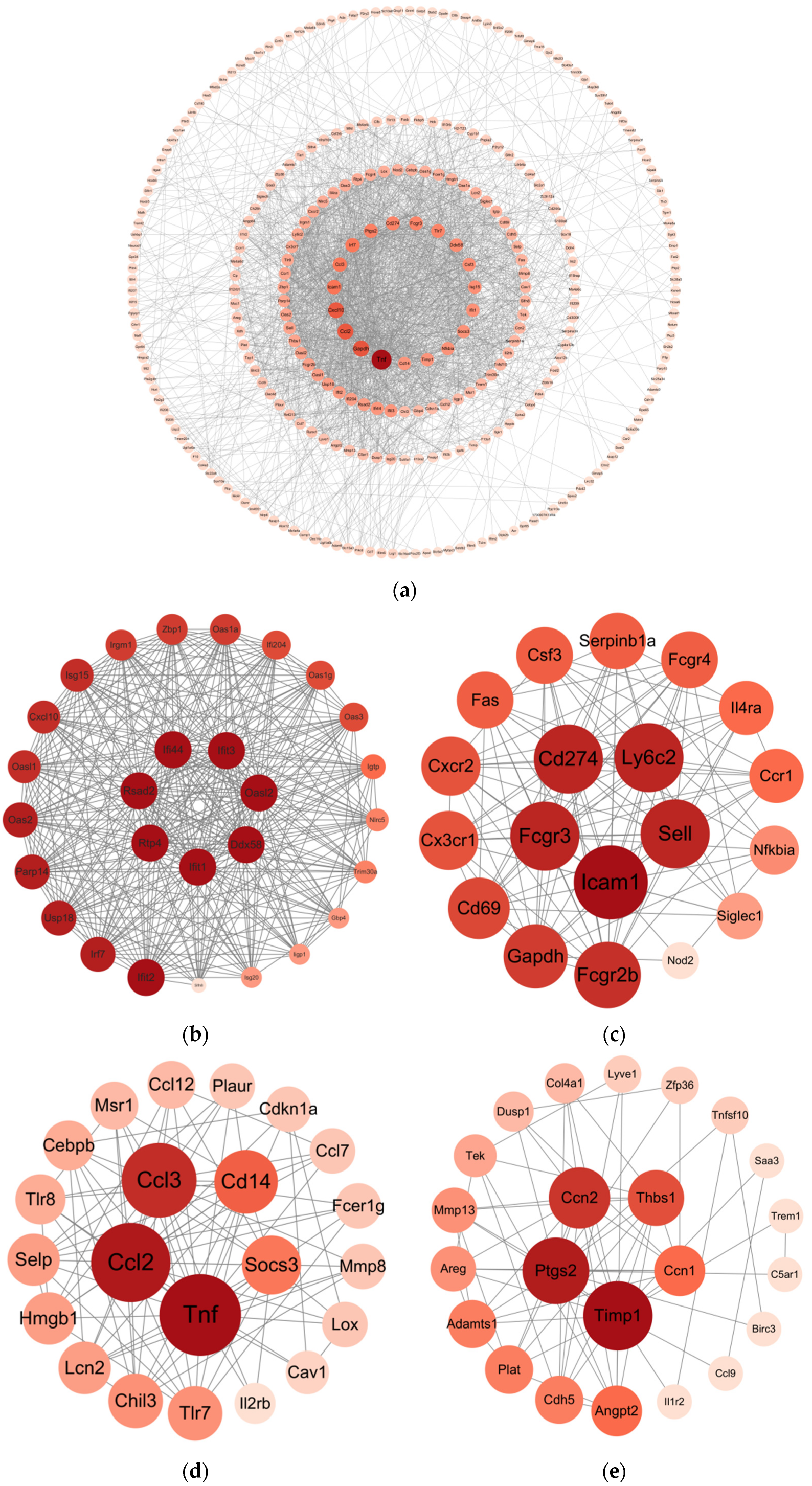 Viruses 17 00580 g006