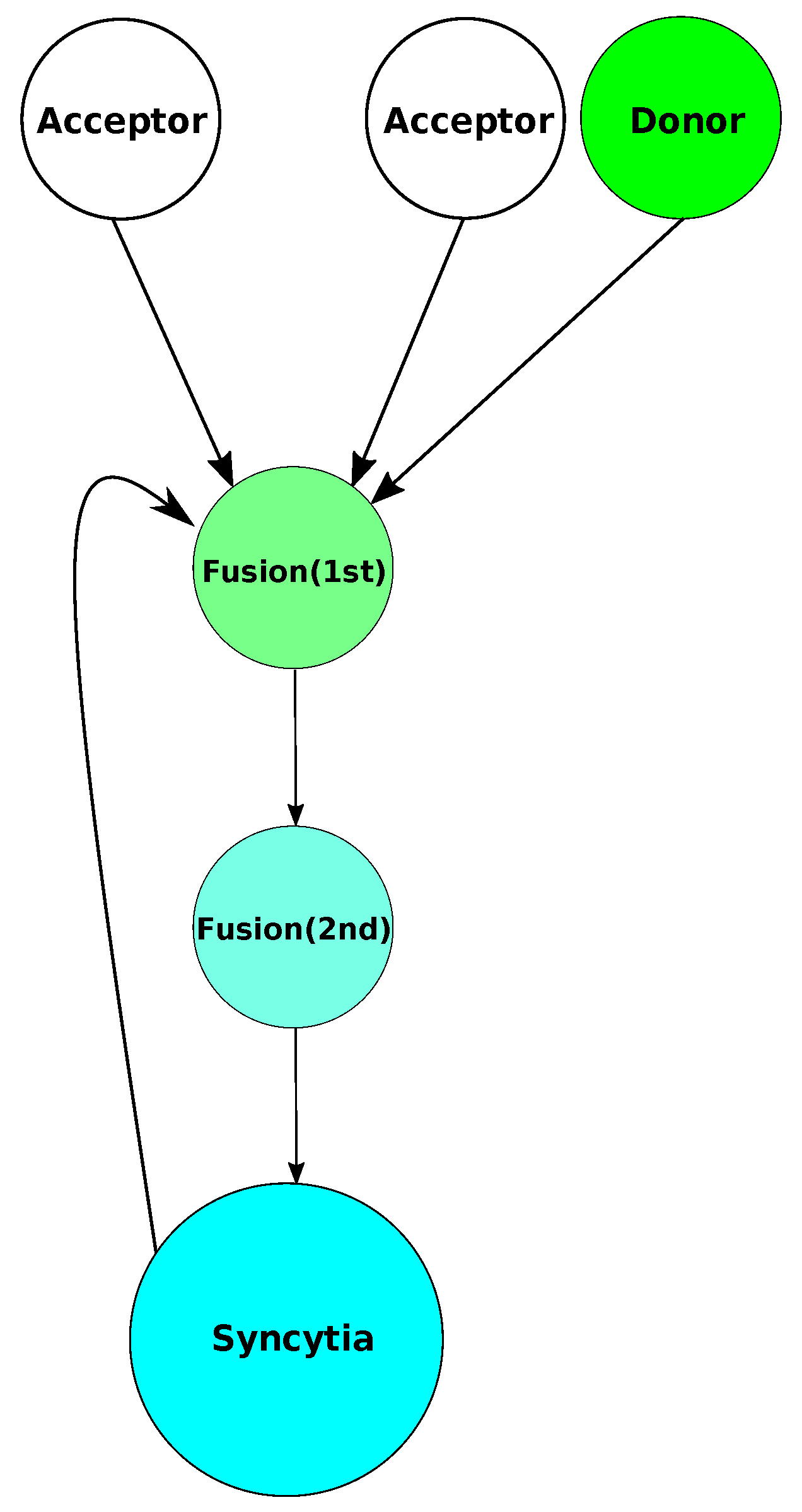 Viruses 17 00583 g003