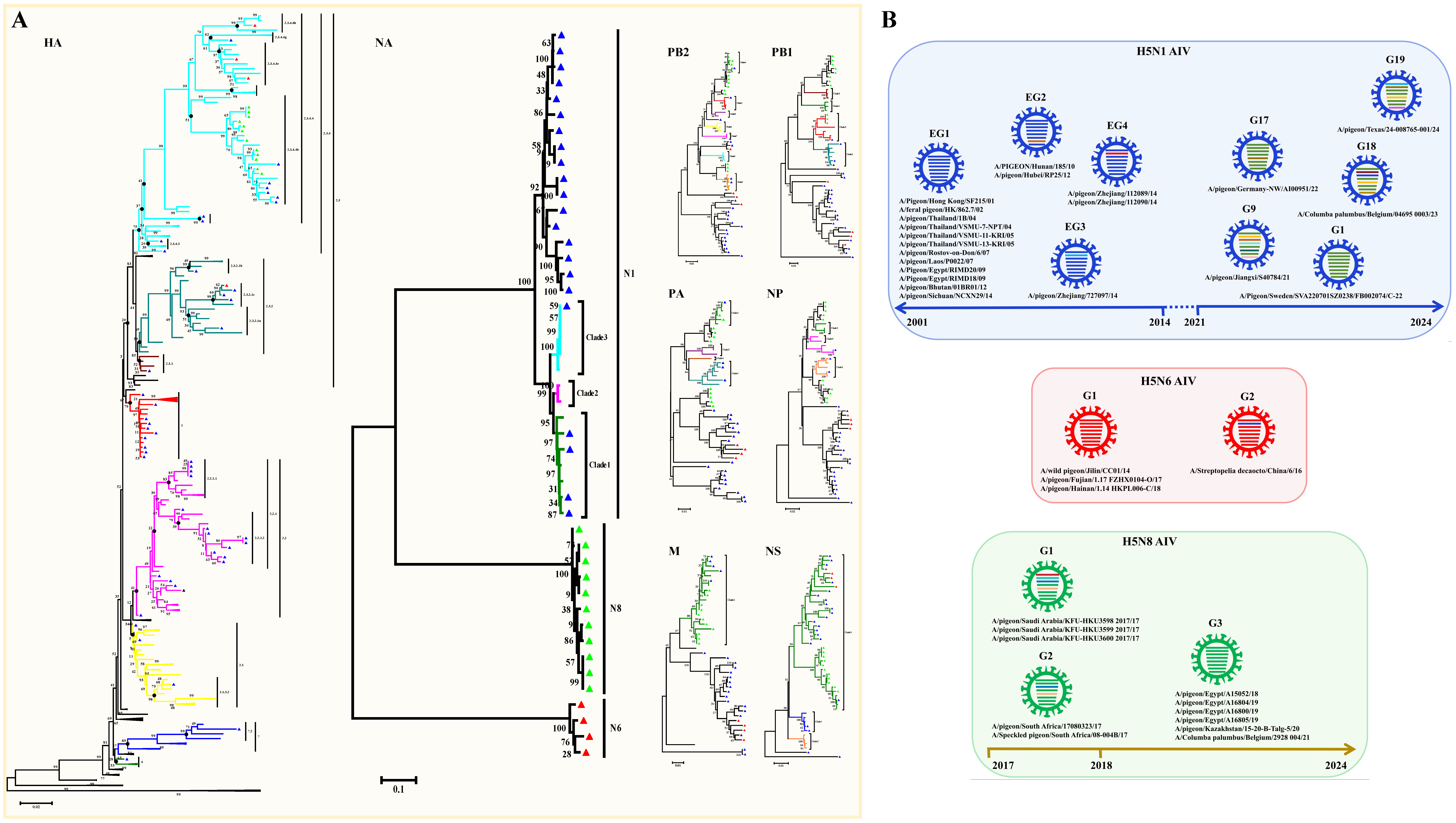 Viruses 17 00585 g002