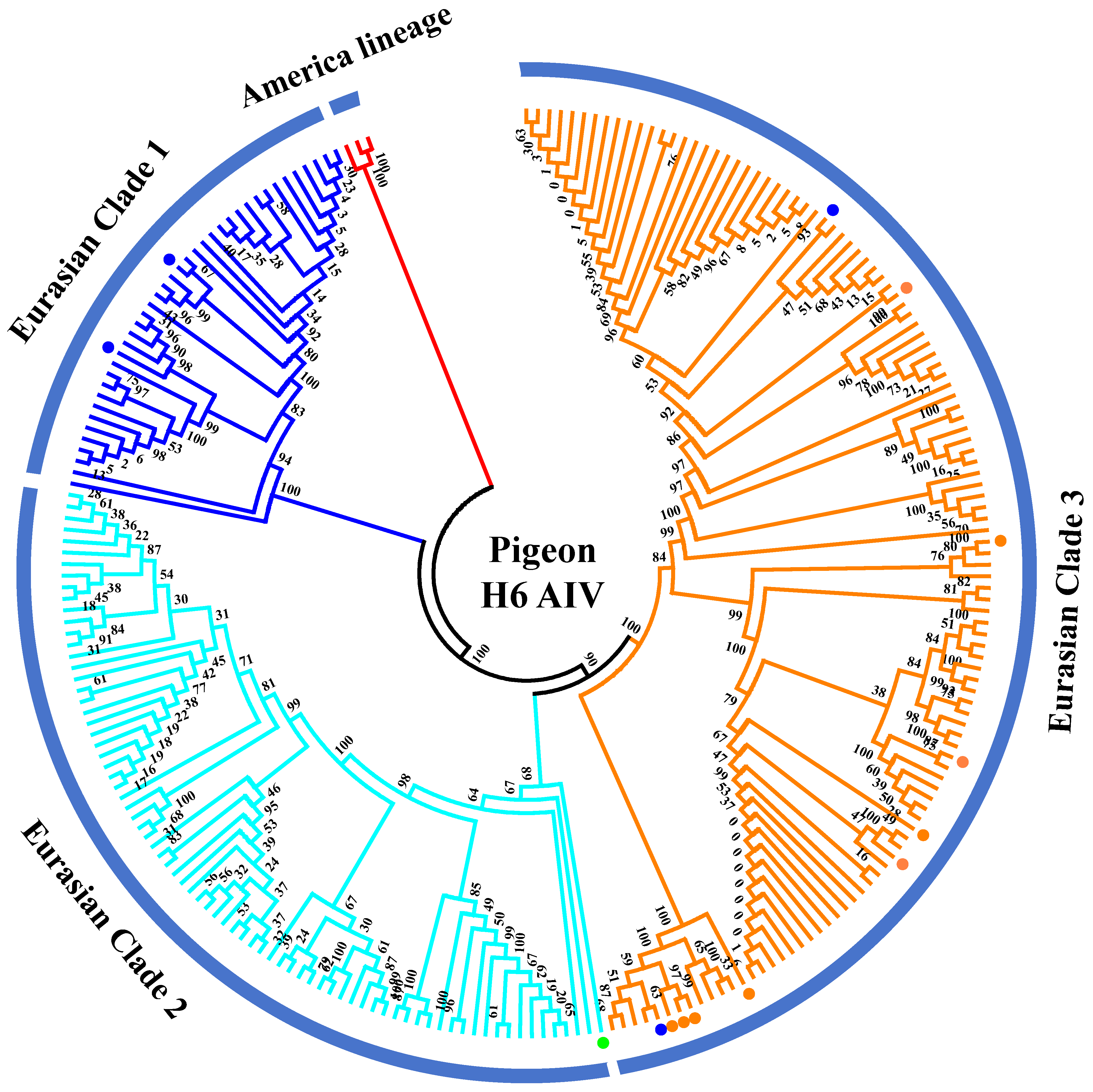 Viruses 17 00585 g003