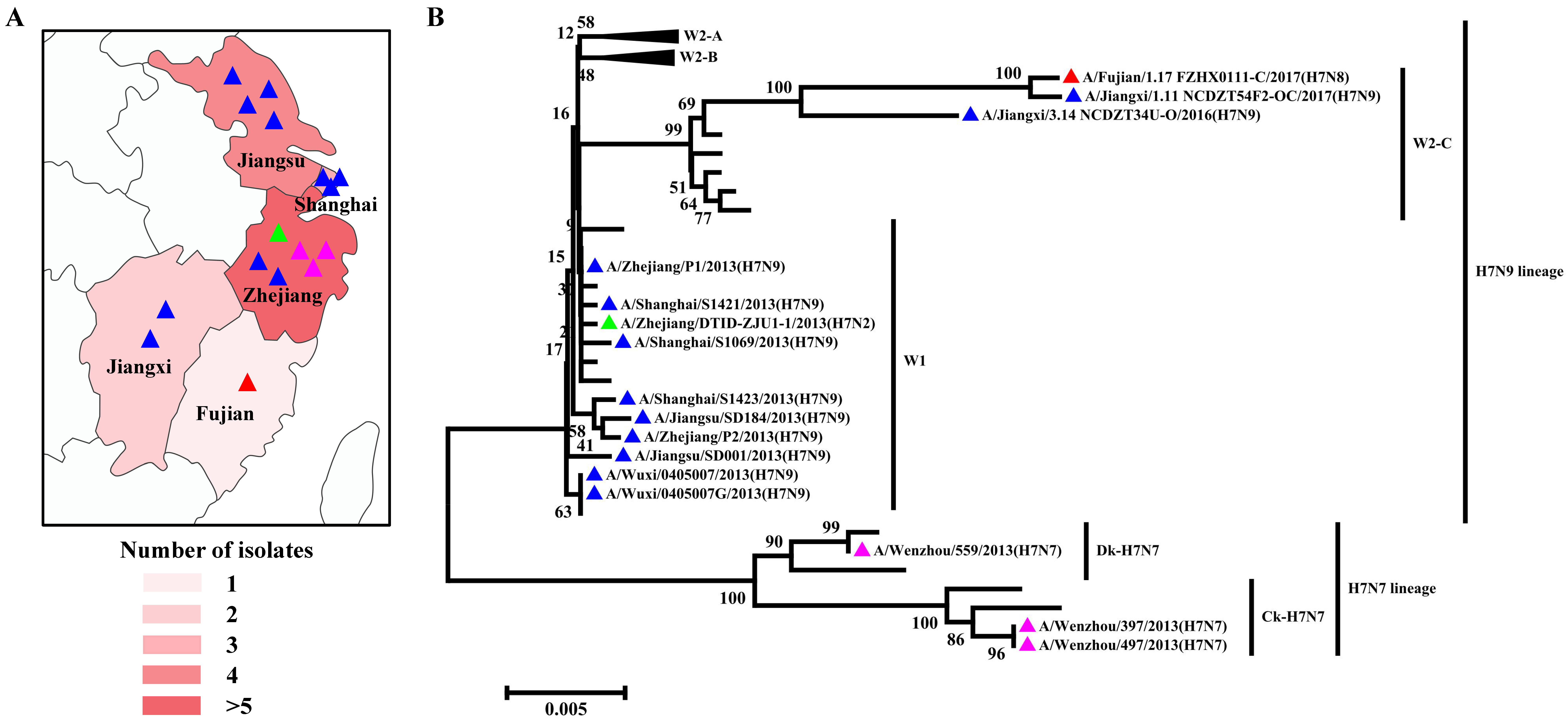 Viruses 17 00585 g004