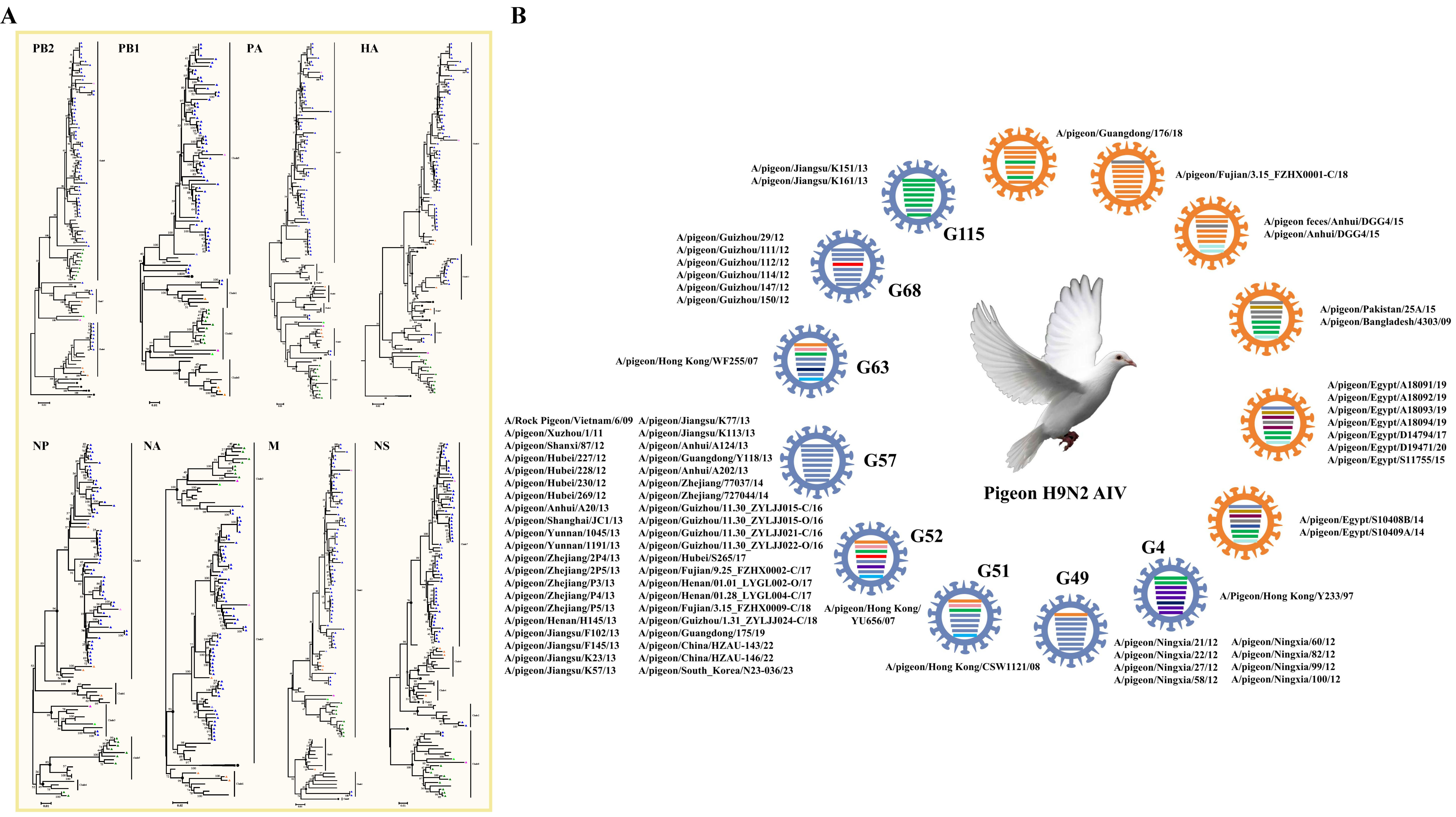 Viruses 17 00585 g005