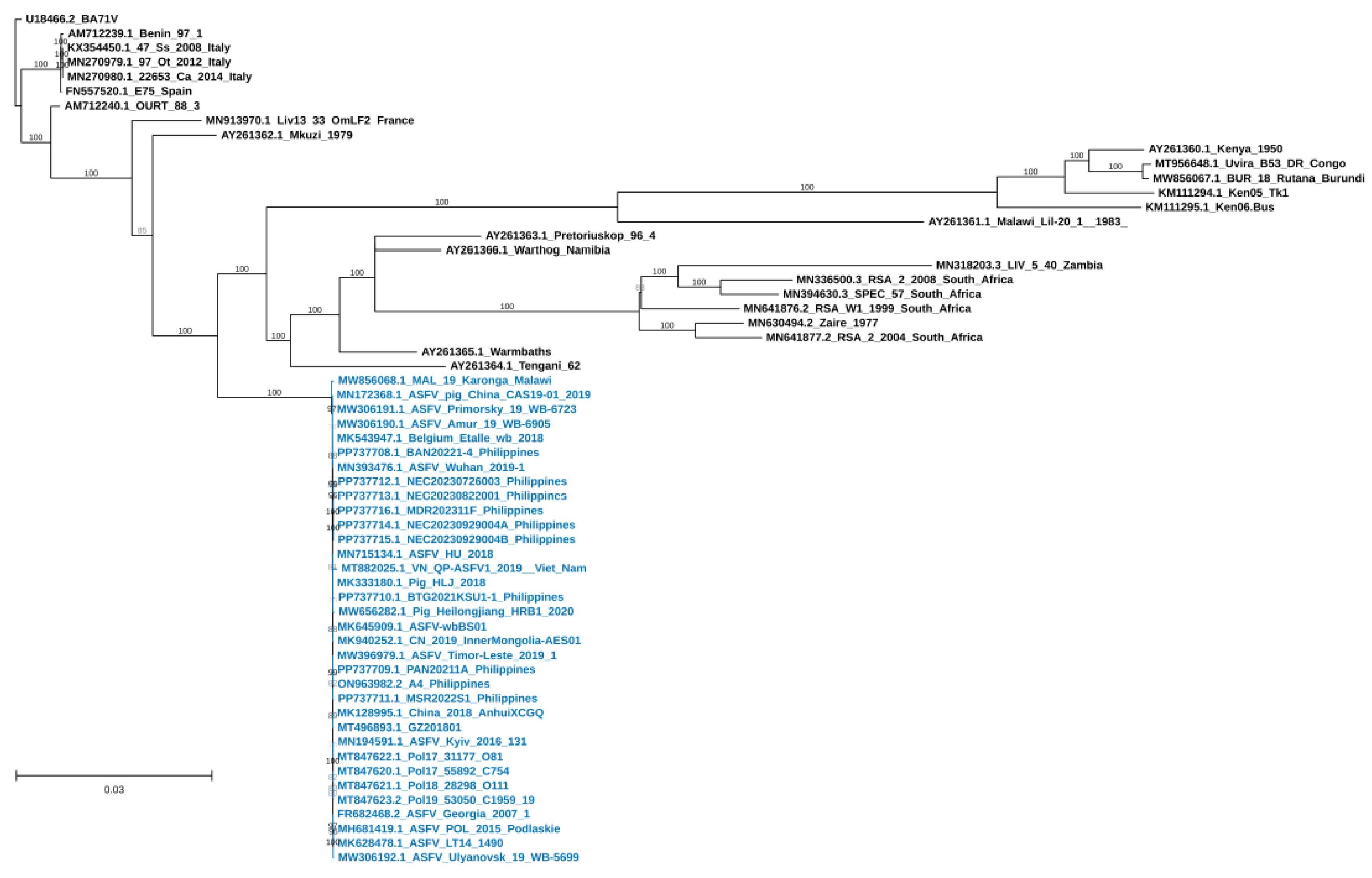 Viruses 17 00588 g002