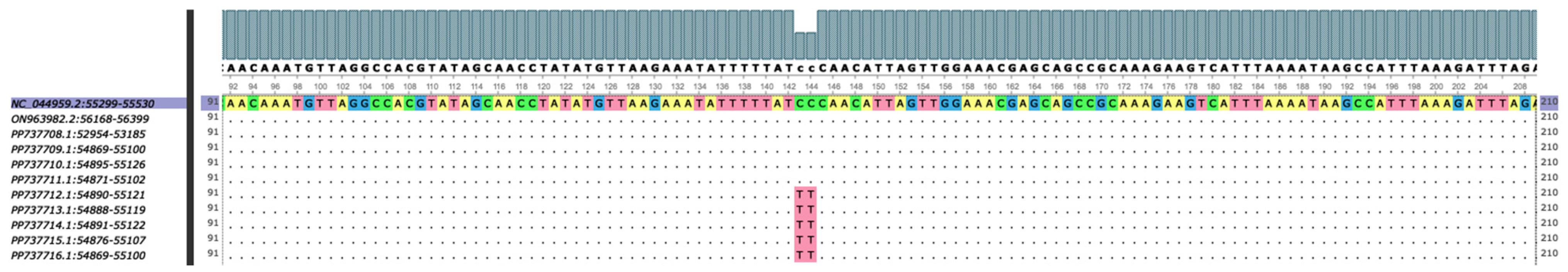 Viruses 17 00588 g007