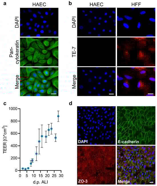 Viruses 17 00592 g001