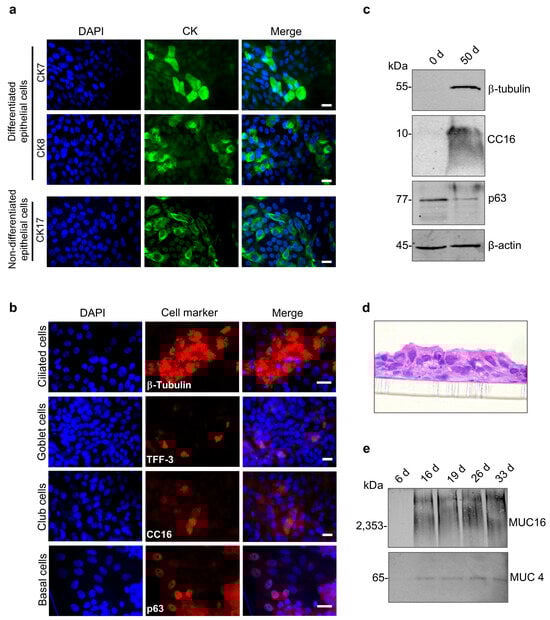 Viruses 17 00592 g002