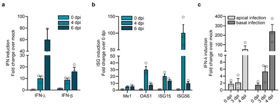 Viruses 17 00592 g006