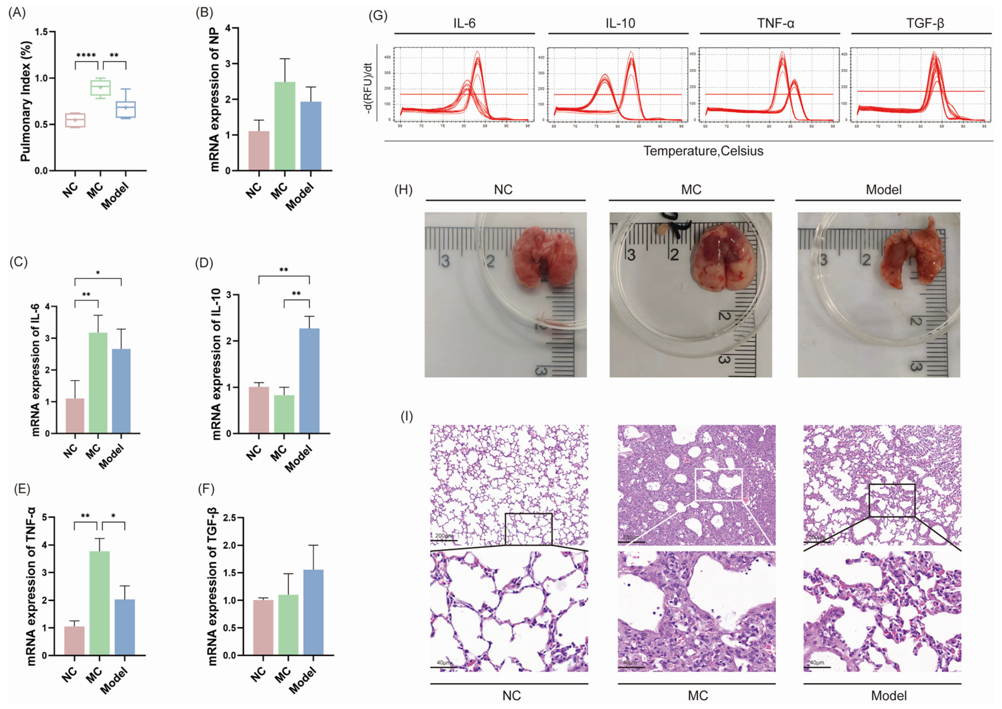 Viruses 17 00593 g003