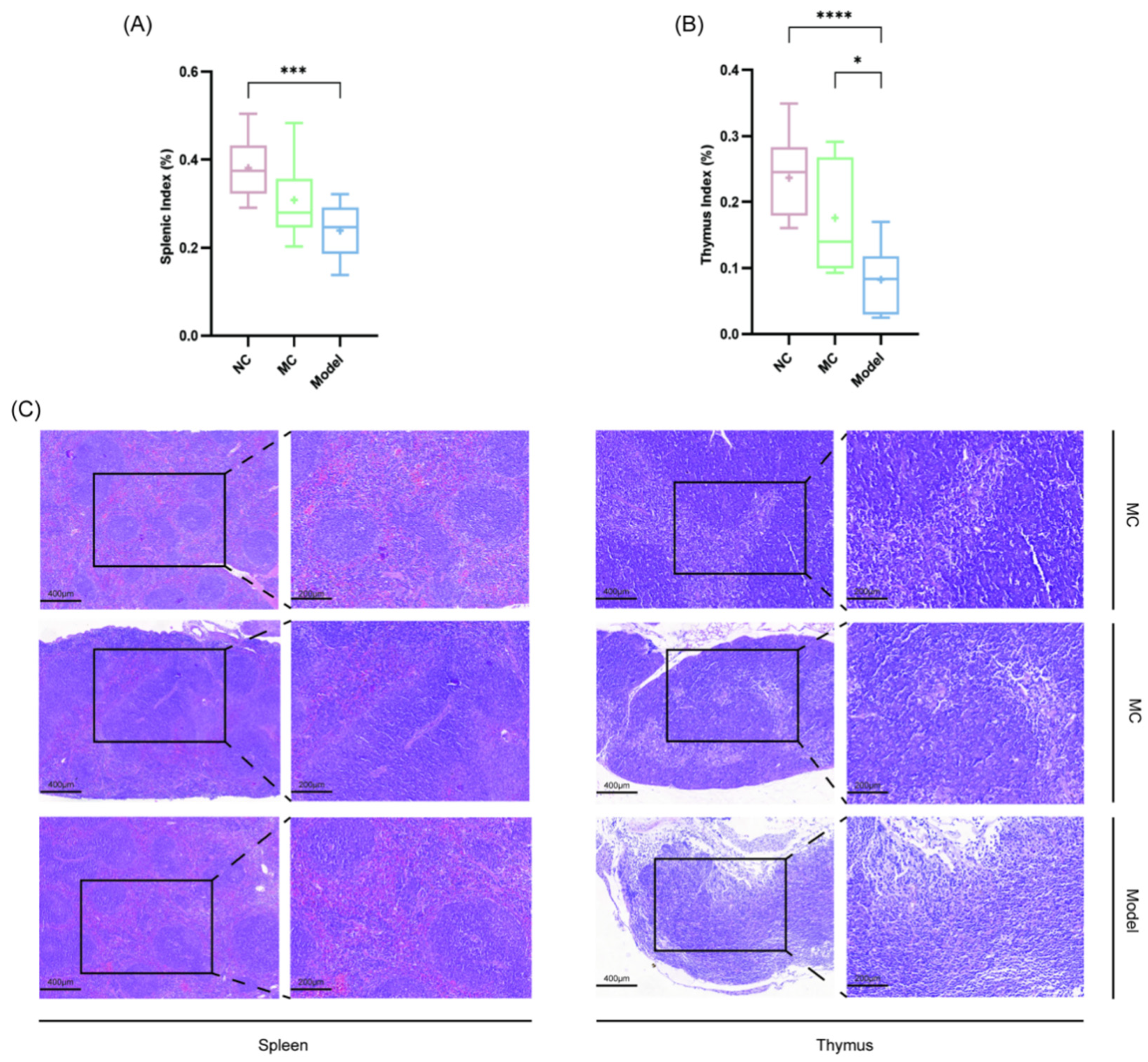 Viruses 17 00593 g005