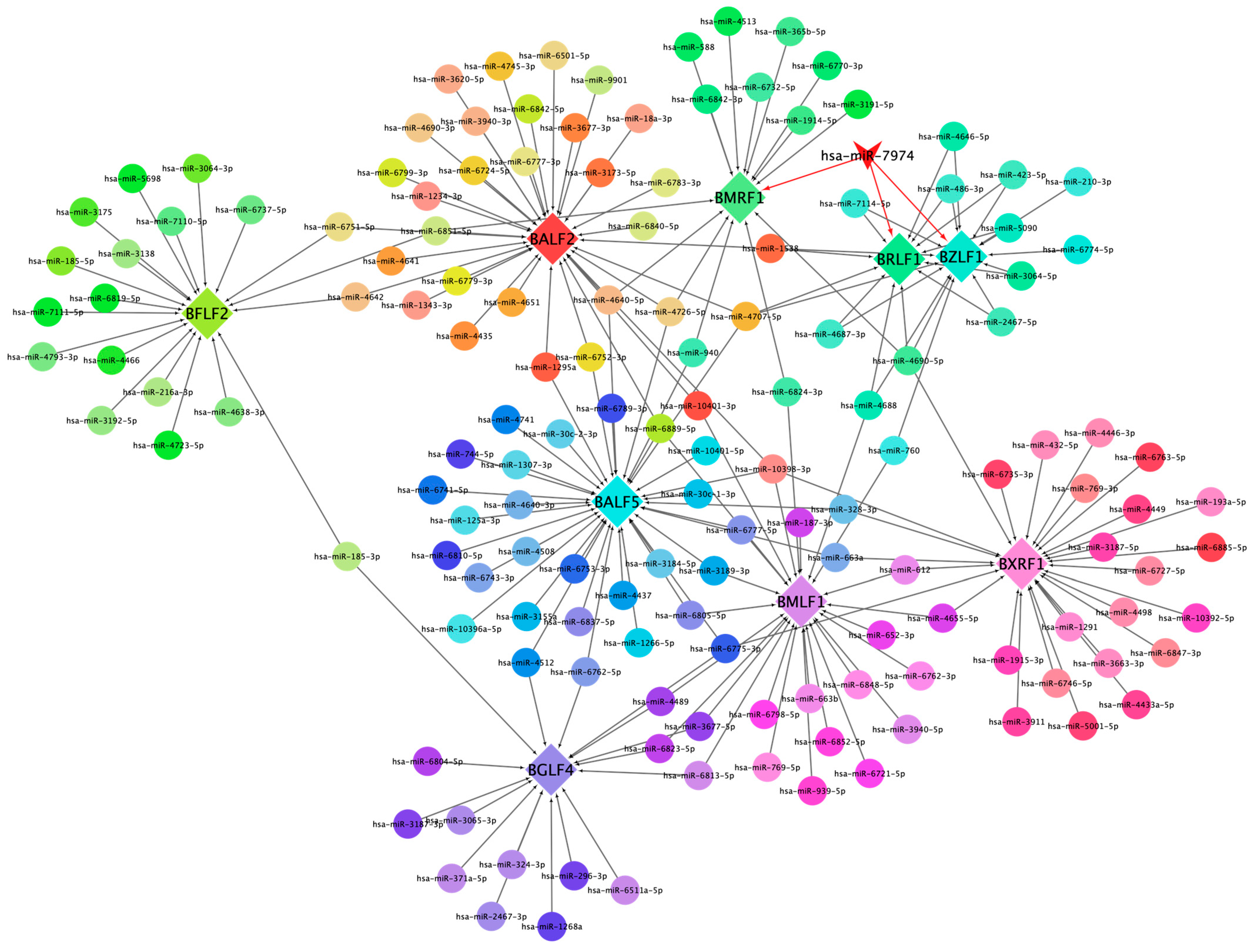 Viruses 17 00594 g005