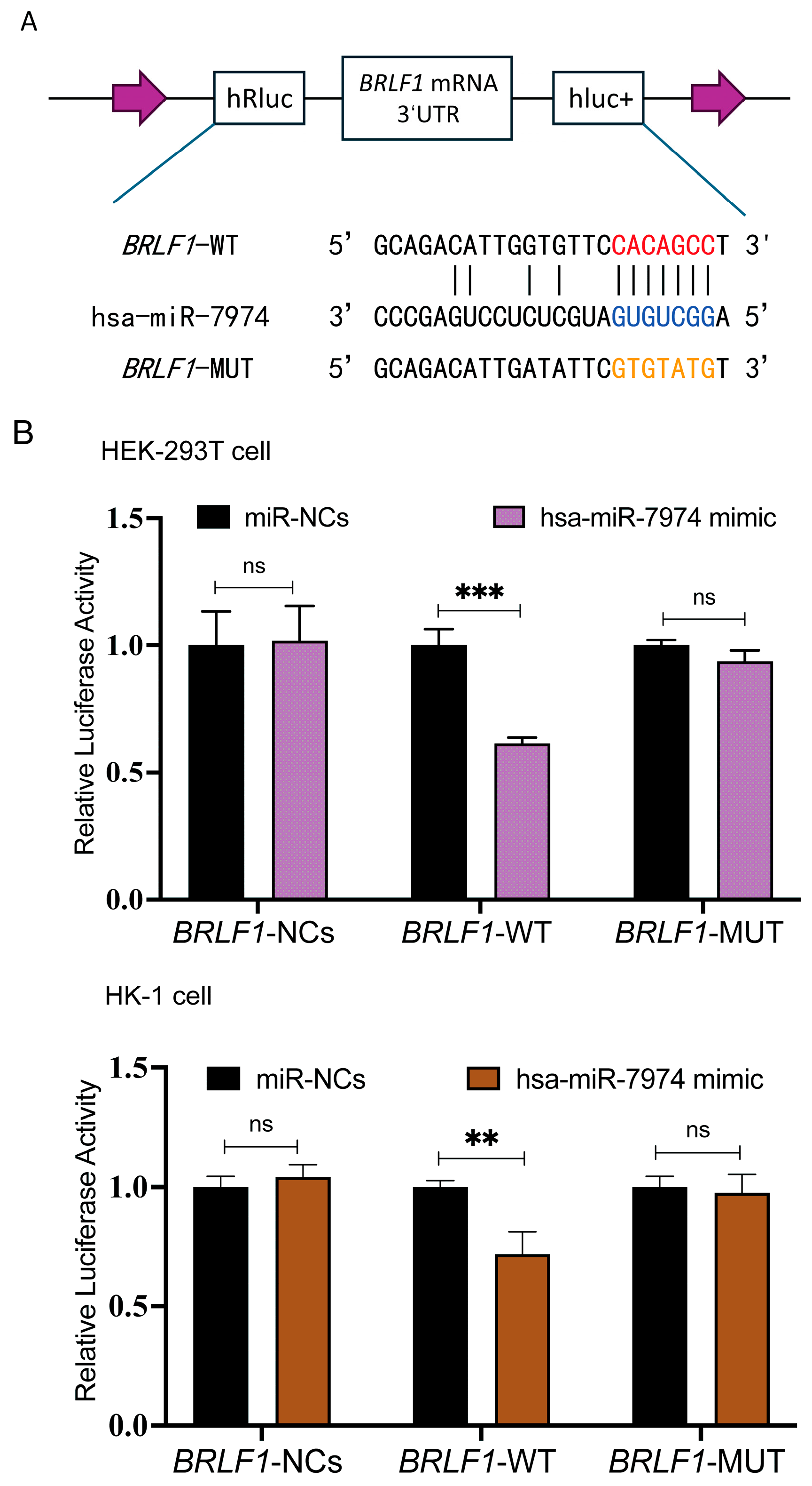 Viruses 17 00594 g006