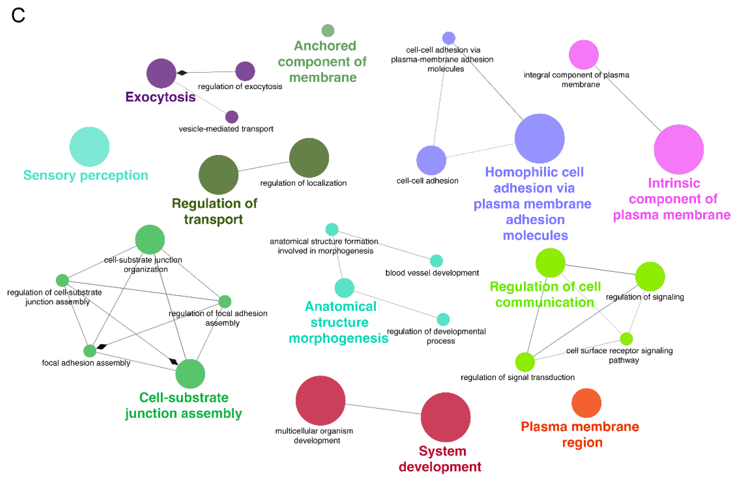 Viruses 17 00594 g009b