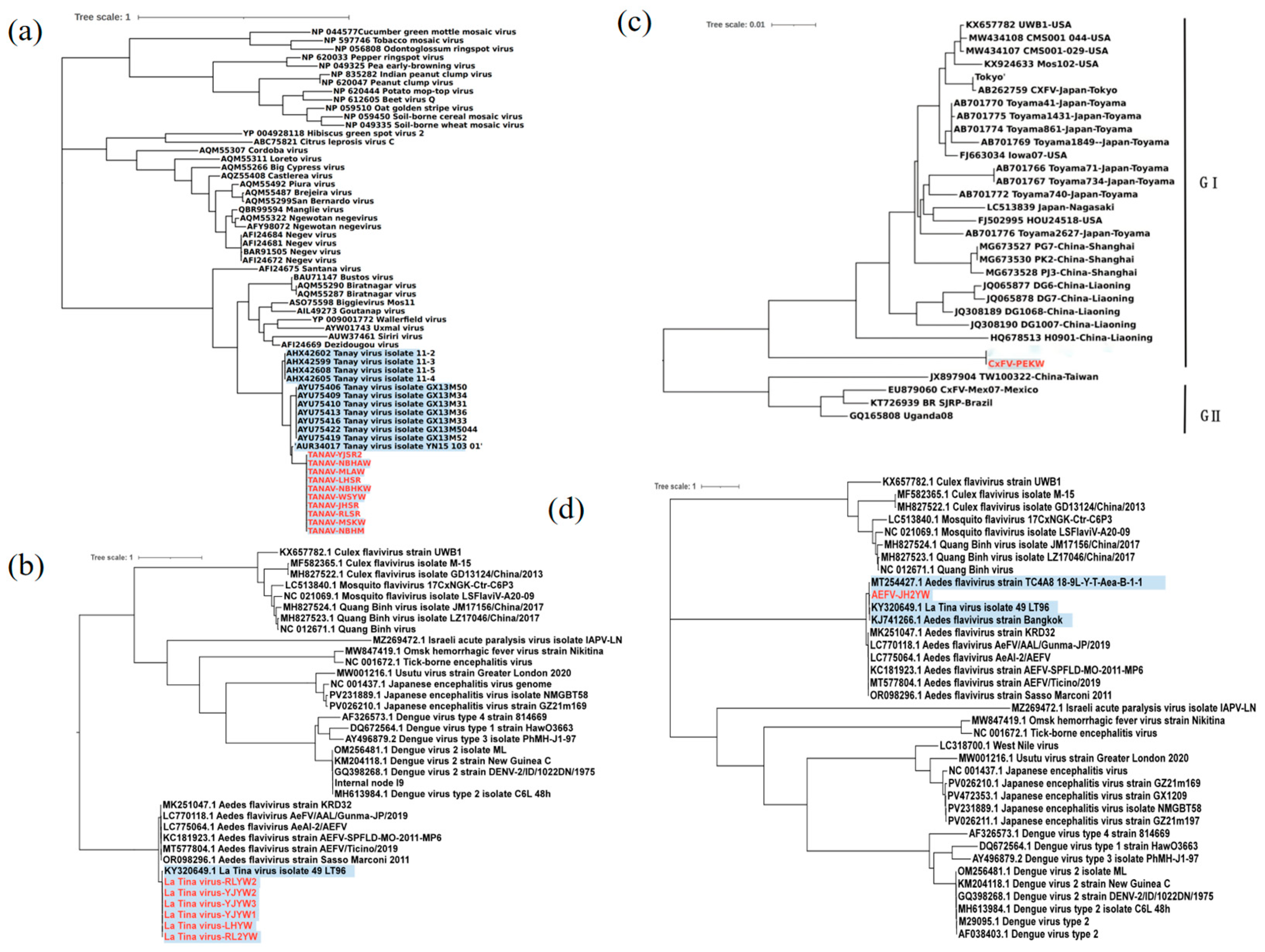 Viruses 17 00596 g002