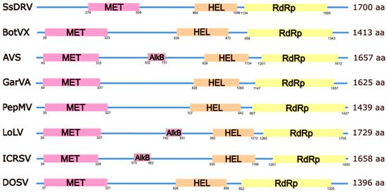 Viruses 17 00611 g003