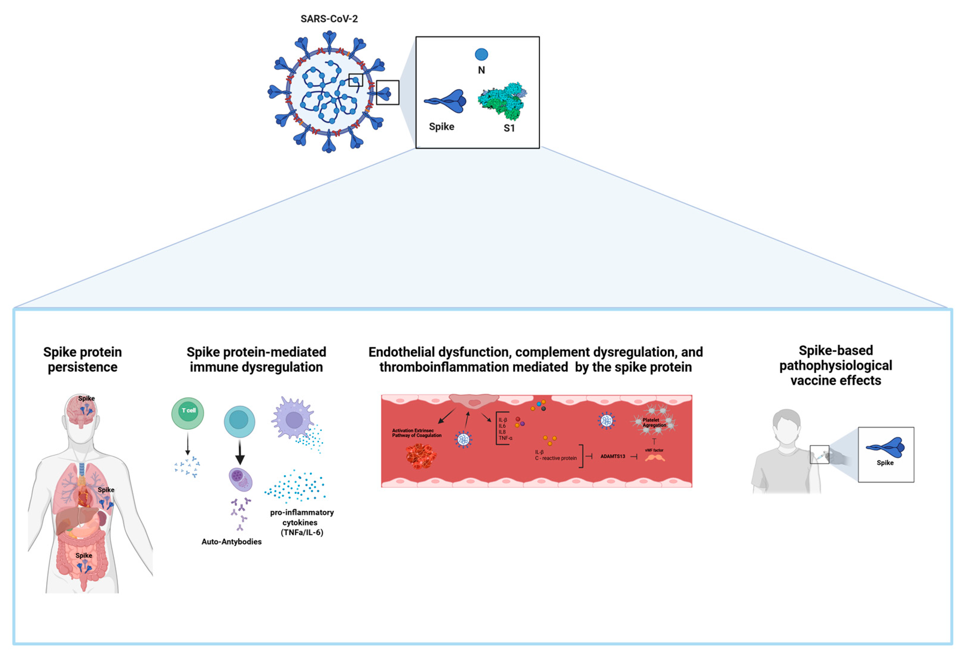 Viruses 17 00617 g001 Viruses 17 00617 g001
