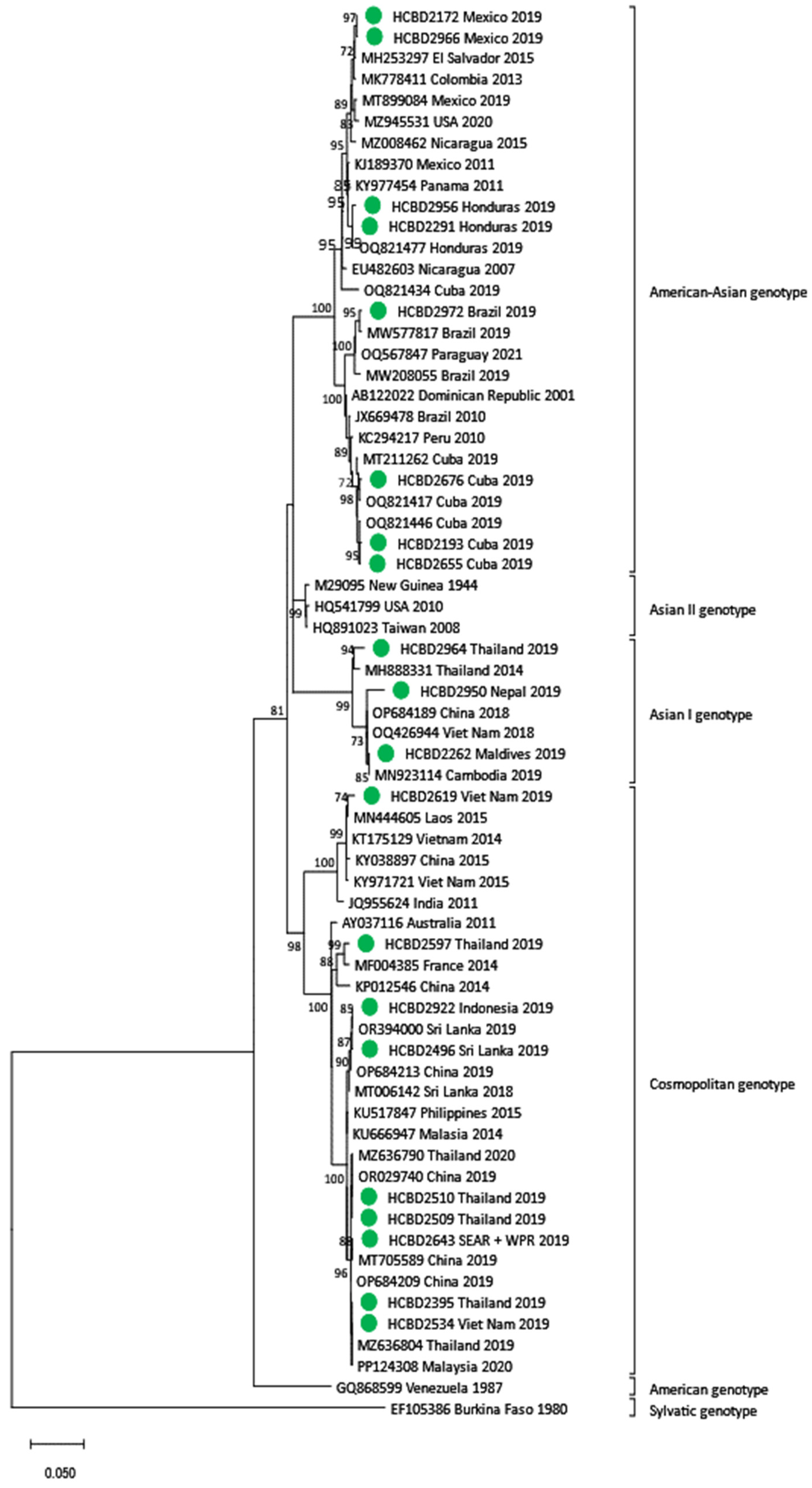 Viruses 17 00621 g003