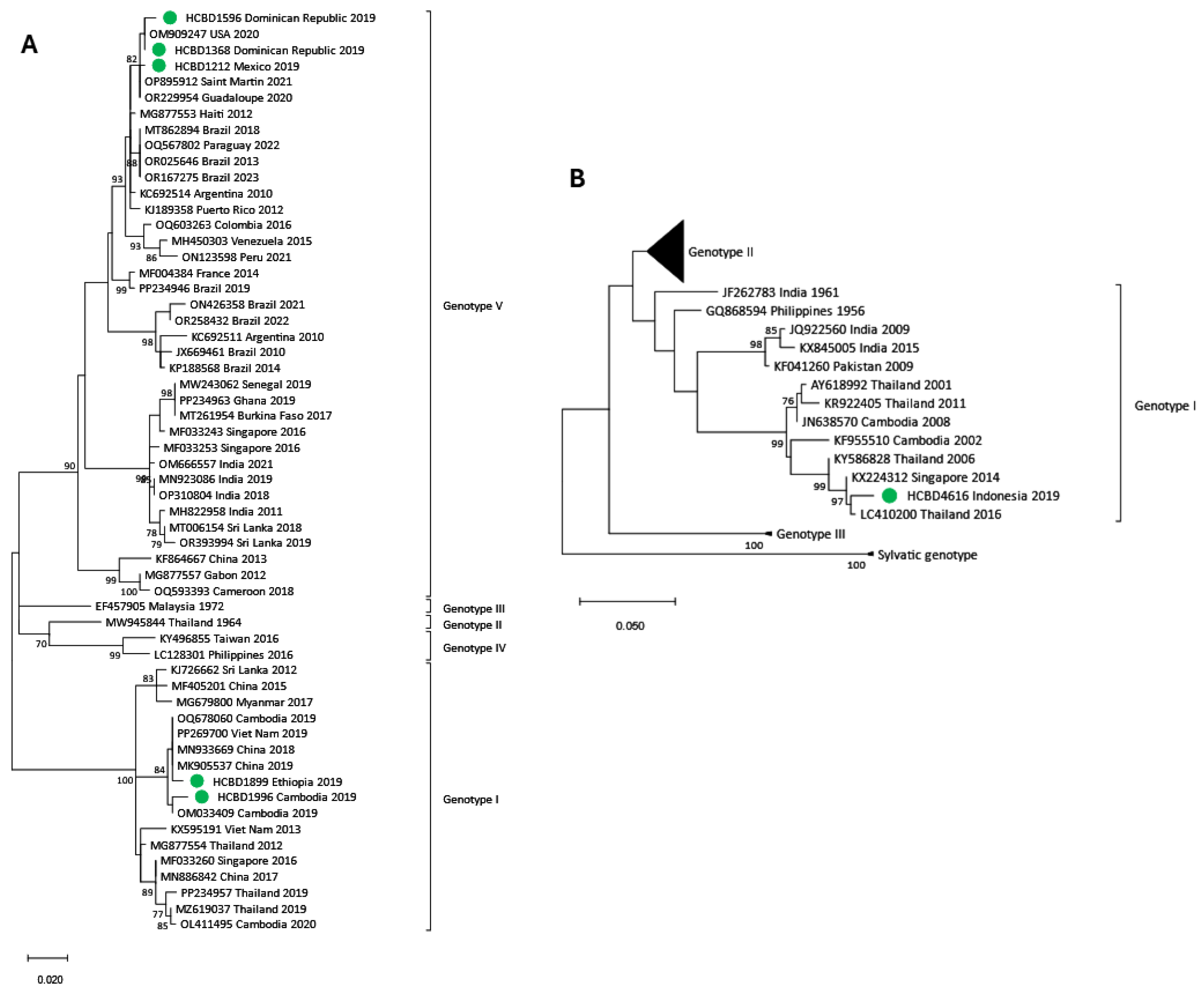 Viruses 17 00621 g005