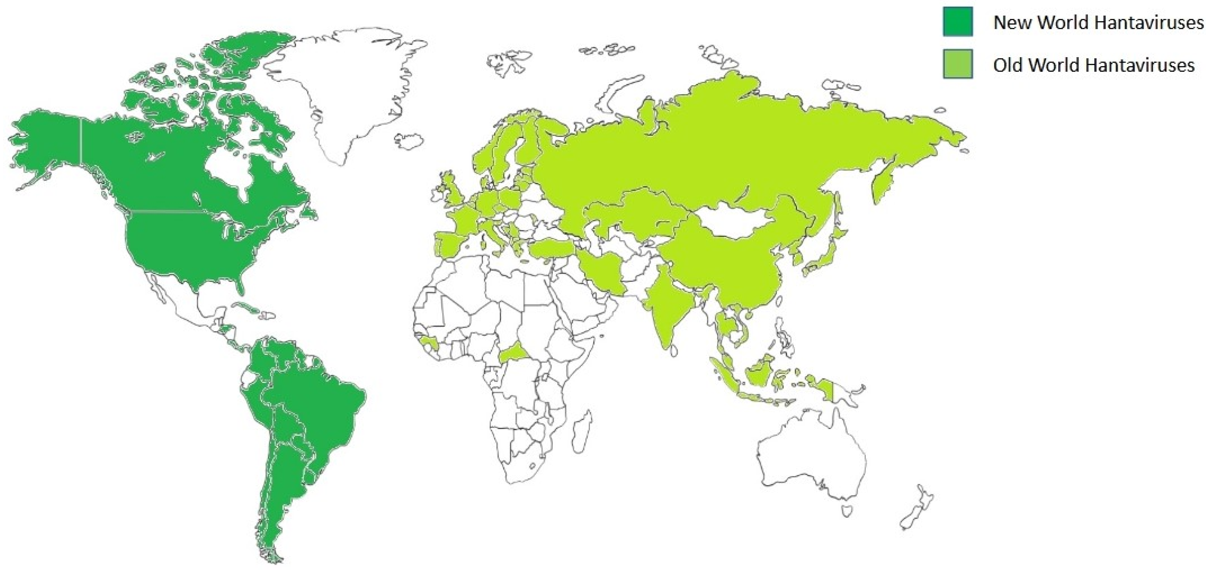 Viruses 17 00622 g002