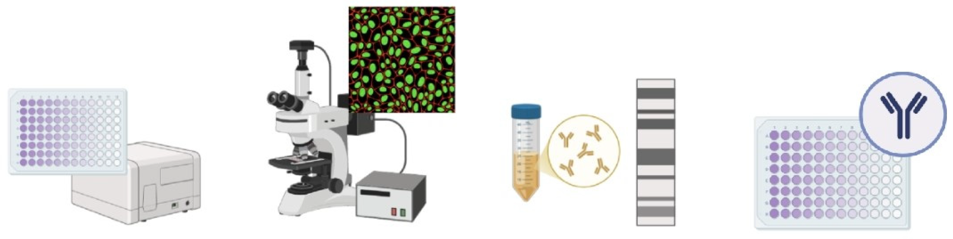 Viruses 17 00622 g003