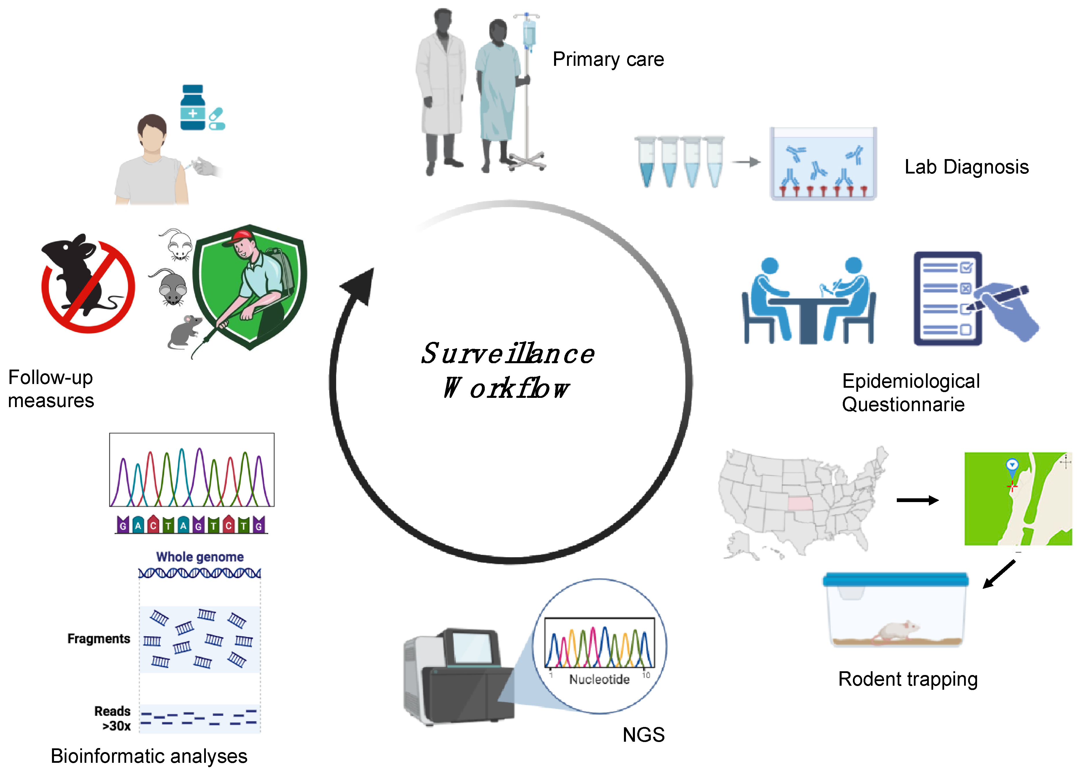 Viruses 17 00622 g005