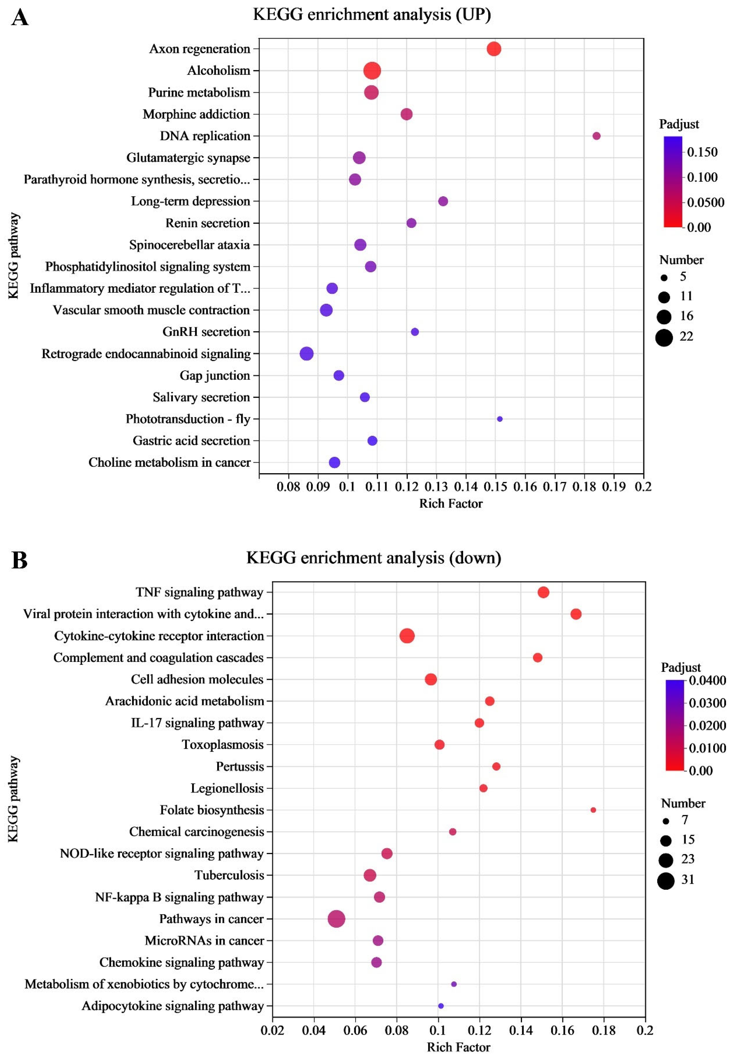 Viruses 17 00647 g002